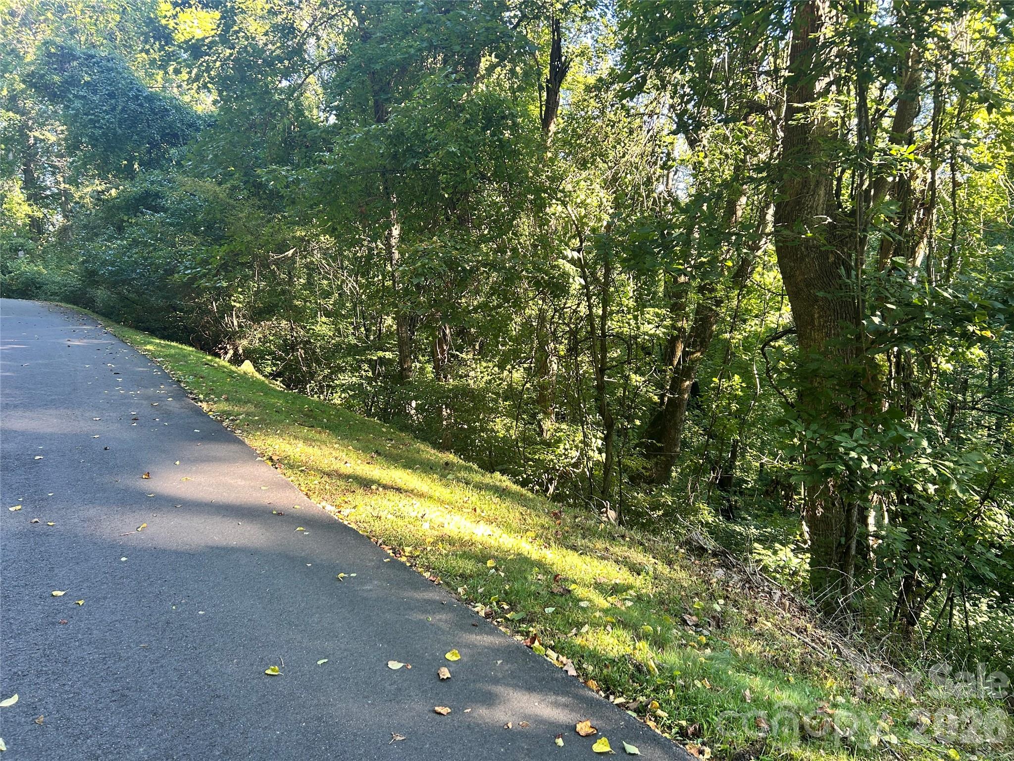 Lot at TBD Mt Hebron Road, Hendersonville, photo 5 of 8