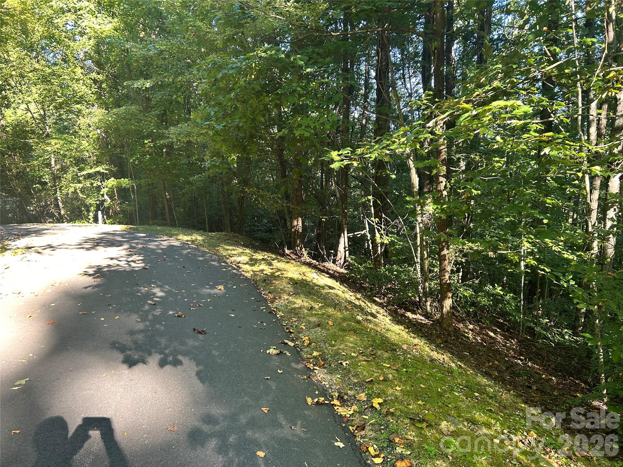 Lot at TBD Mt Hebron Road, Hendersonville, photo 6 of 8