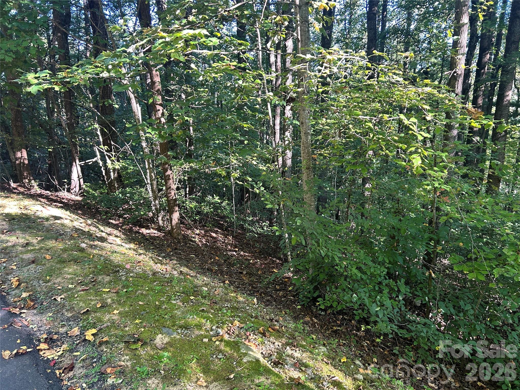 Lot at TBD Mt Hebron Road, Hendersonville, photo 7 of 8