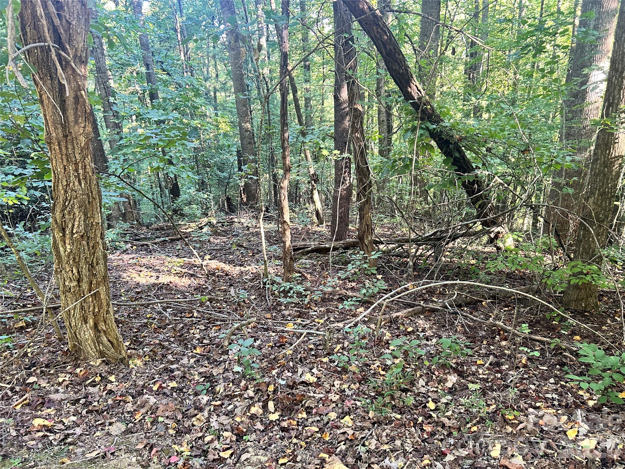 Lot at TBD Mt Hebron Road, Hendersonville, photo 8 of 8