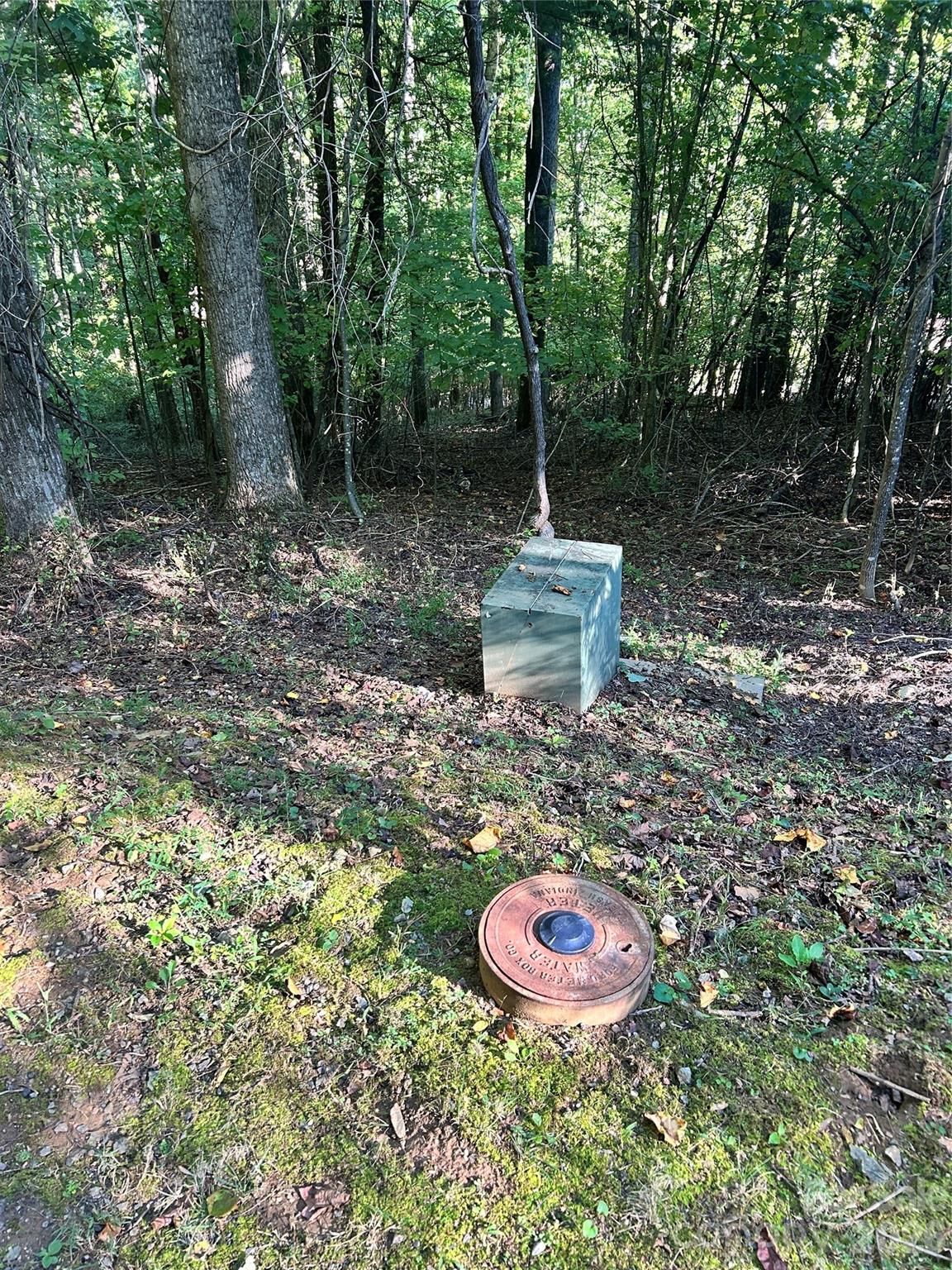 Lot at 573 Solomon Circle, Hendersonville, photo 2 of 6