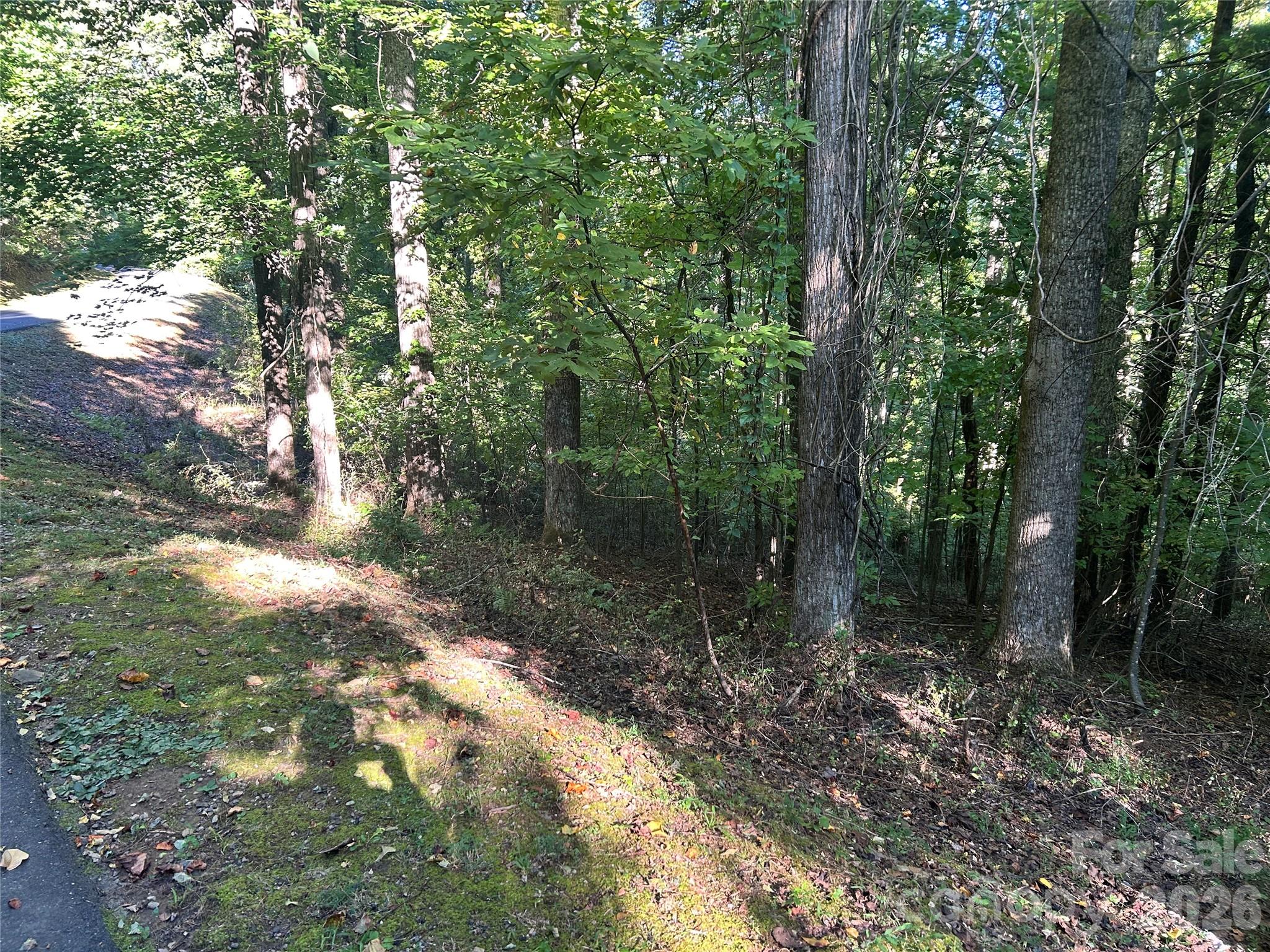 Lot at 573 Solomon Circle, Hendersonville, photo 3 of 6