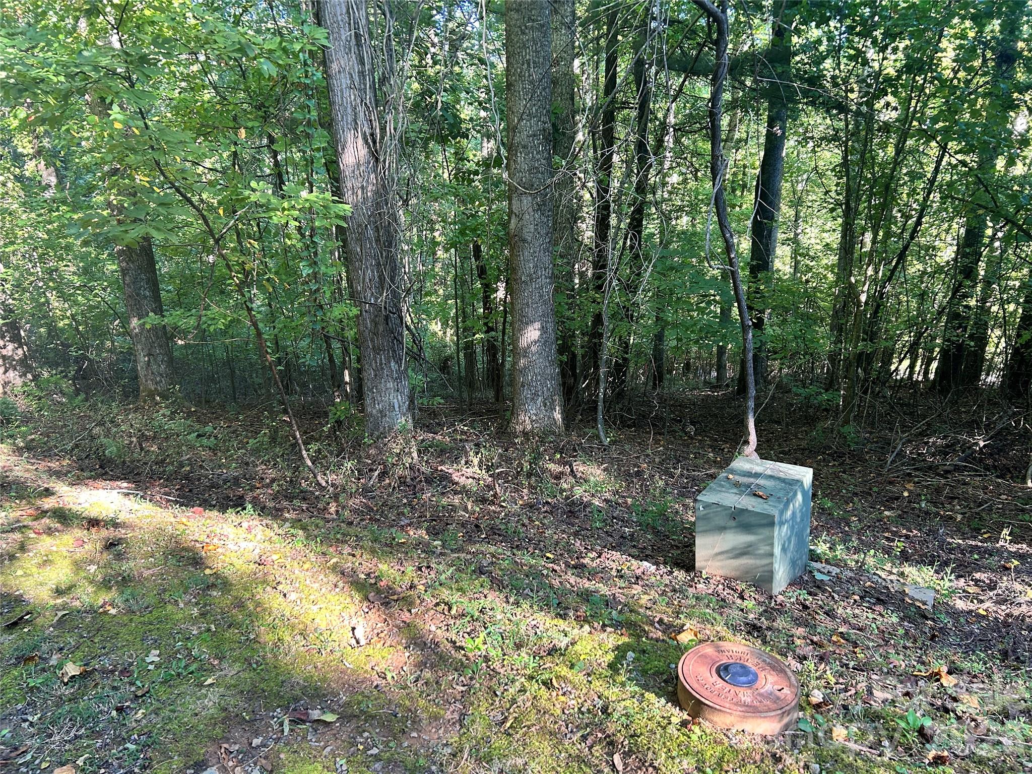 Lot at 573 Solomon Circle, Hendersonville, photo 4 of 6