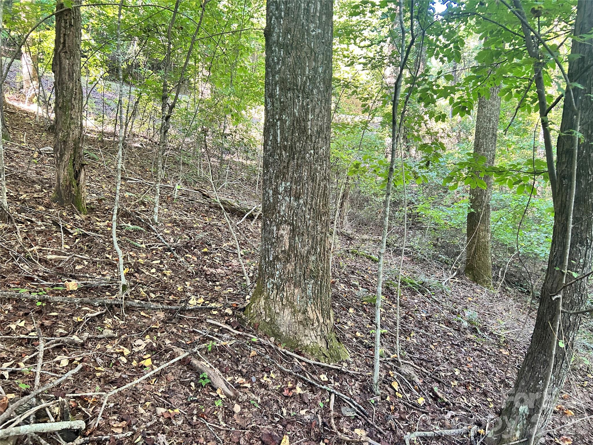 Lot at 573 Solomon Circle, Hendersonville, photo 6 of 6