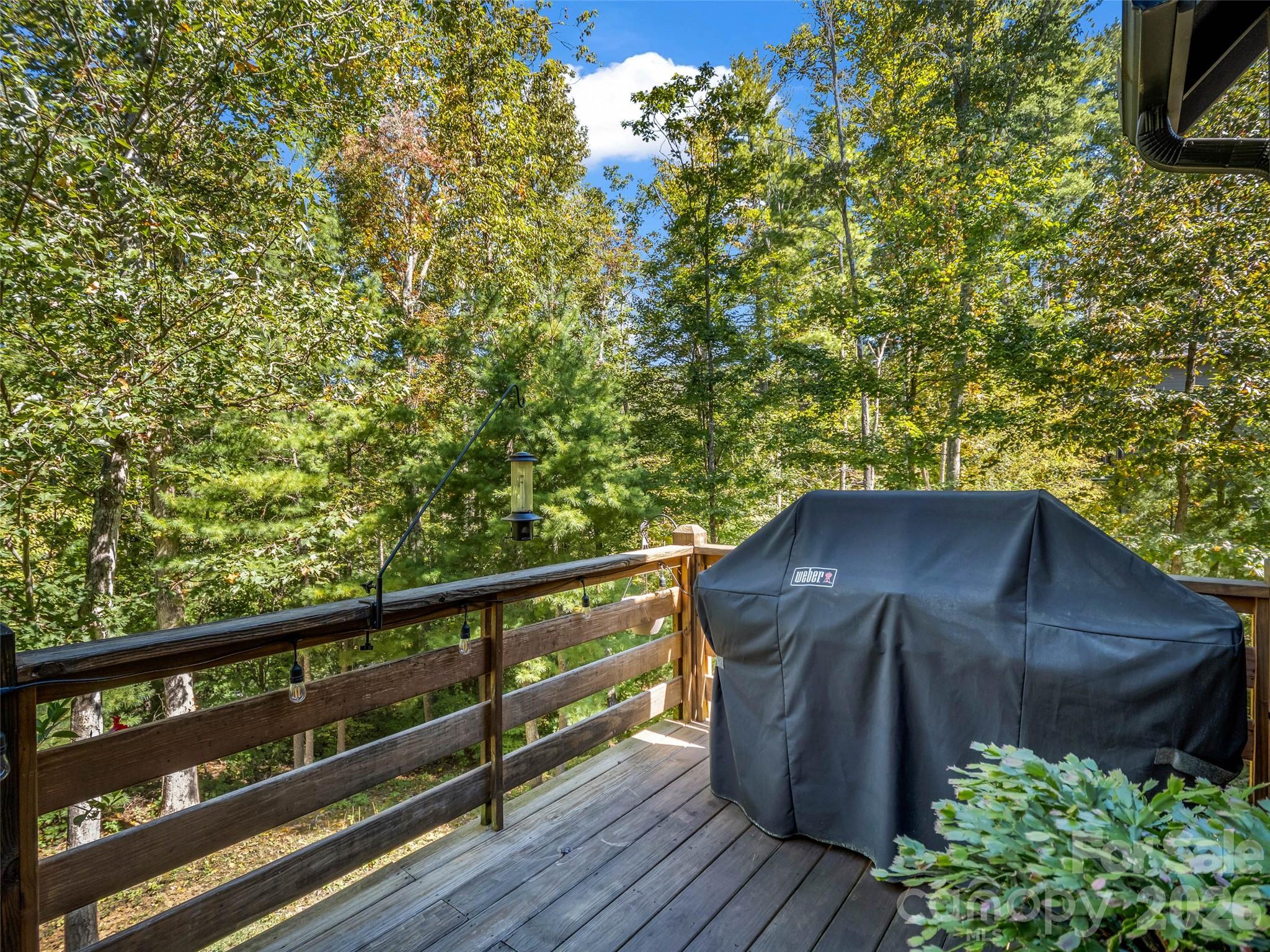 Single Family Residence at 103 Garren Shady Way, Fairview, photo 24 of 48