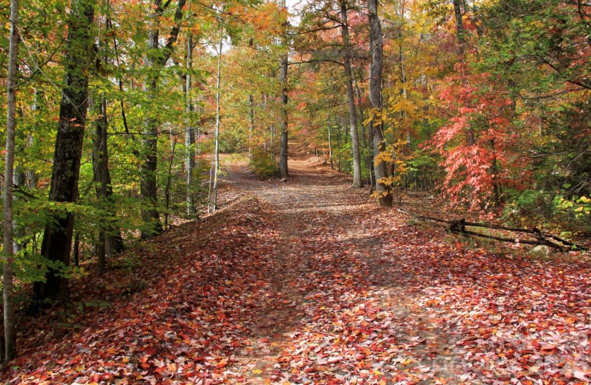 Looking up driveway during Autumn. - 115 Laurel Wood Drive, Mars Hill