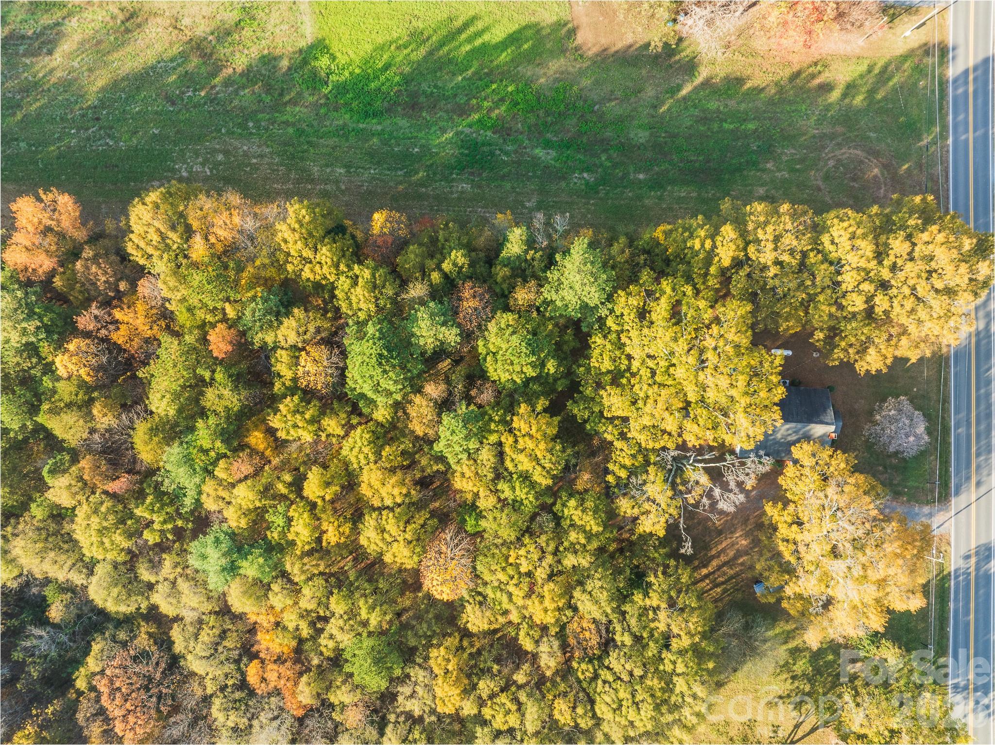 Acreage at 00000 Saint Martin Road, Albemarle, photo 4 of 6