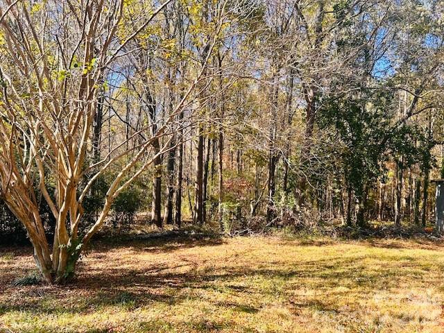 Acreage at 00000 Saint Martin Road, Albemarle, photo 5 of 6
