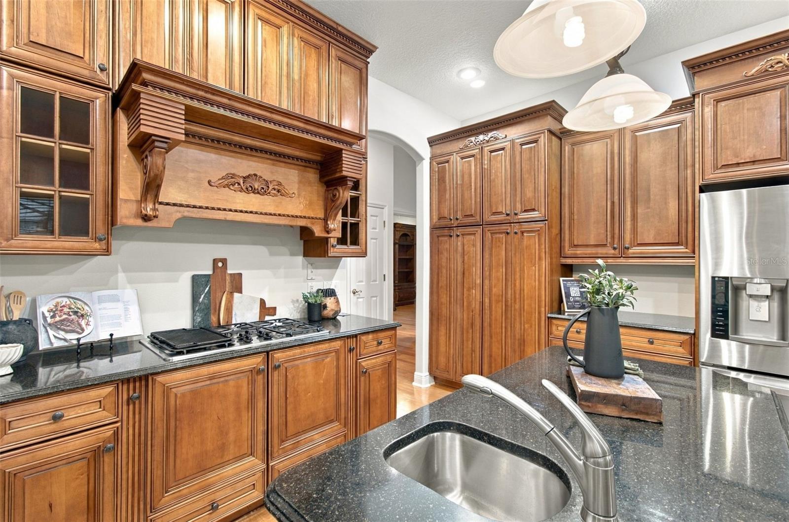 Single Family Residence at 816 CITRUS WOOD LN, VALRICO, photo 22 of 100