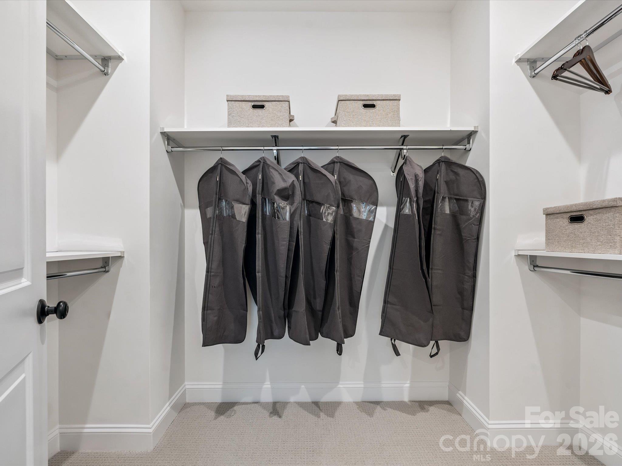 Conceptual - 10303 Princess Crossing Drive, Charlotte