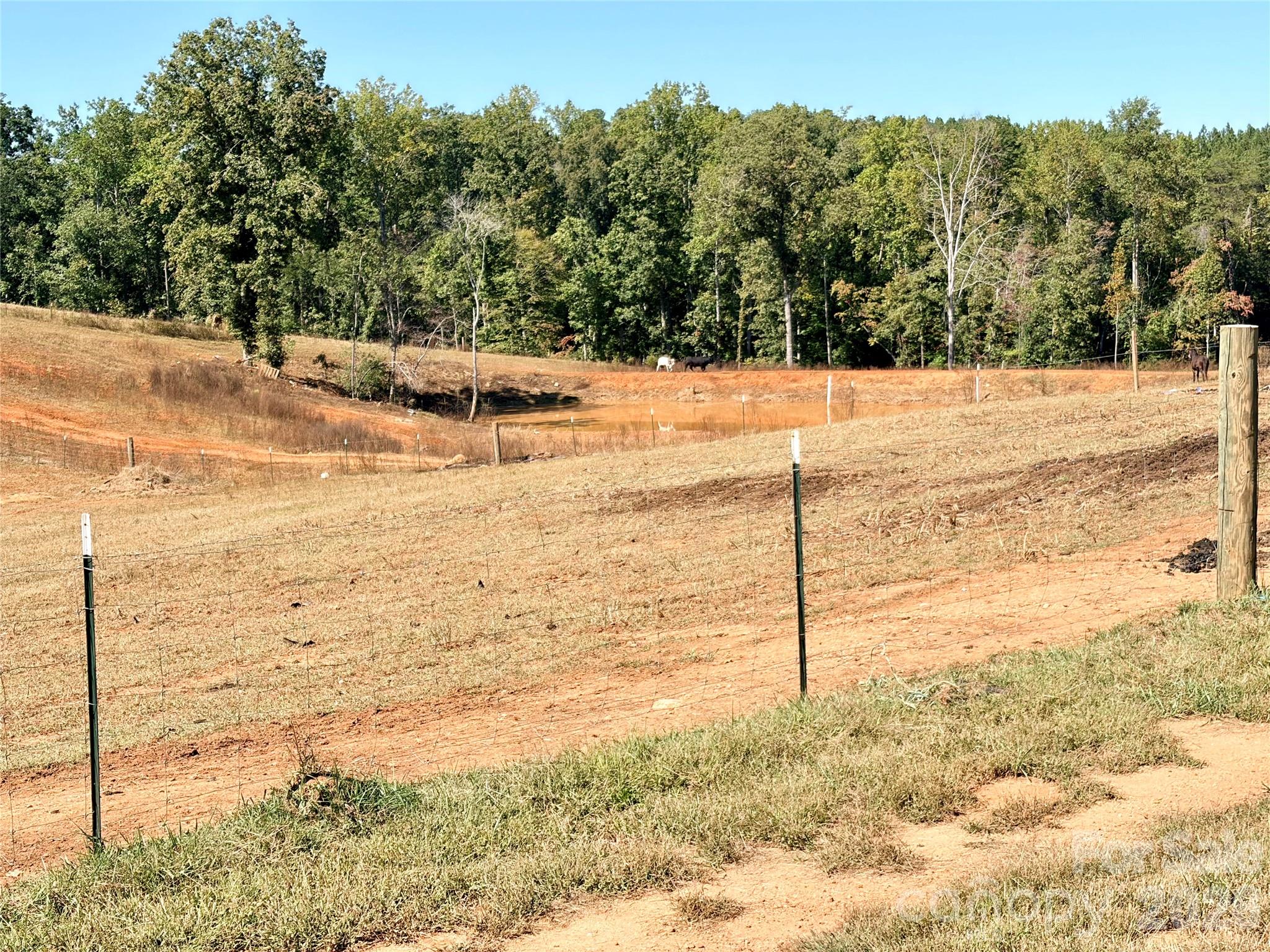 13 Acres of Fenced Pasture with pond - 550 Dills Road, Rutherfordton