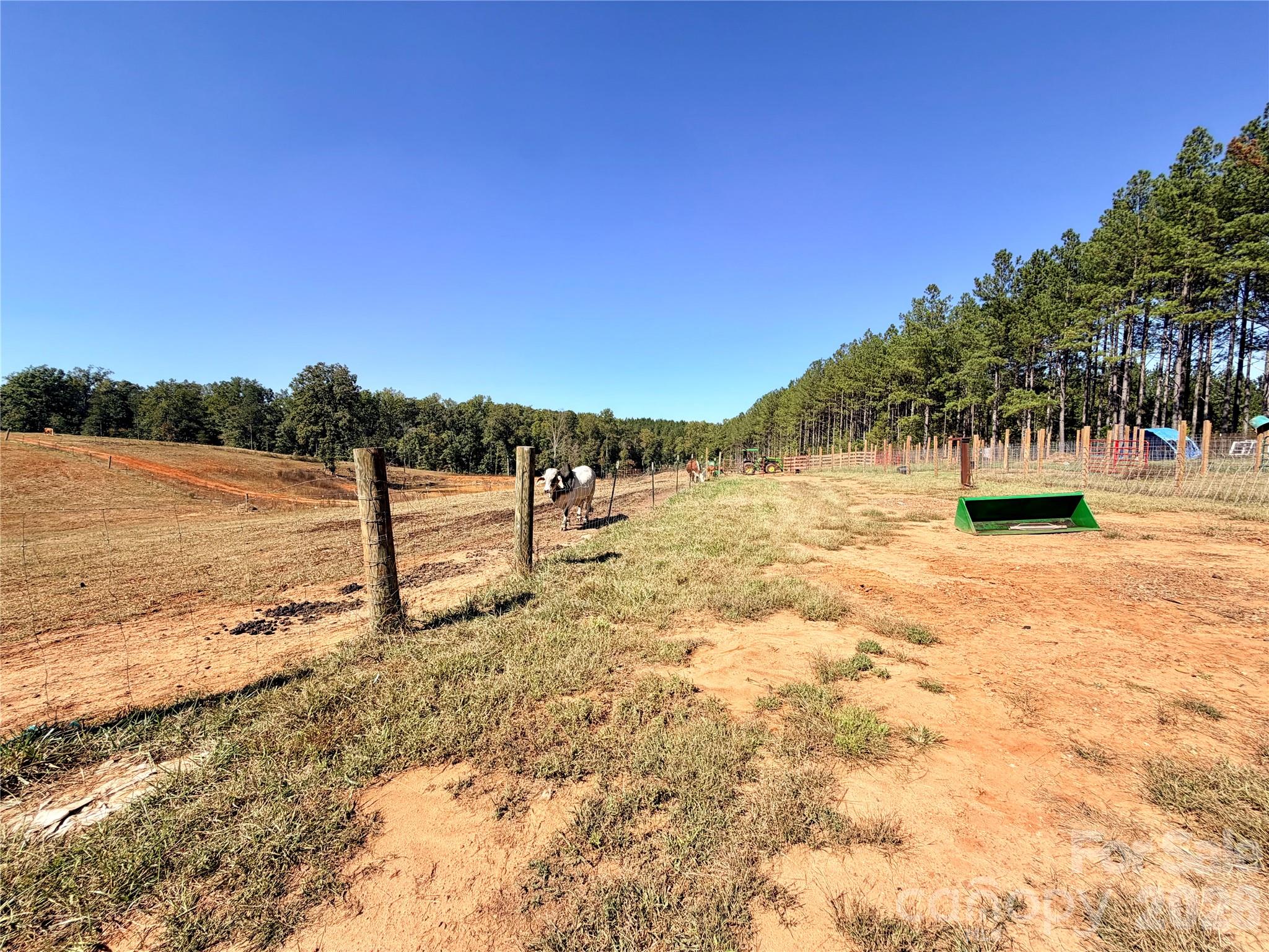 13 Acres of Fenced Pasture - 550 Dills Road, Rutherfordton