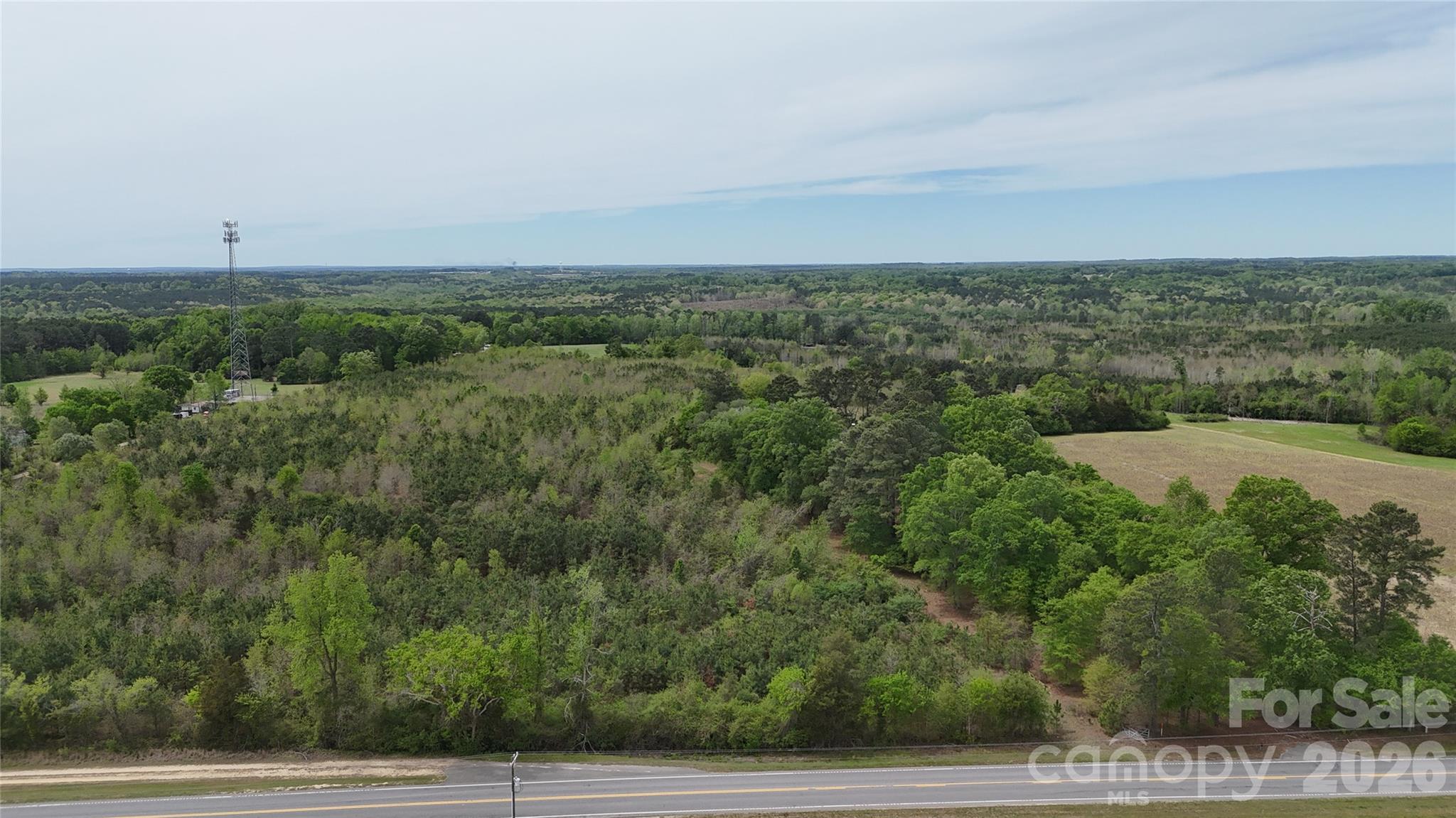 Acreage at 000 US Highway 52 Highway, Cheraw, photo 8 of 43