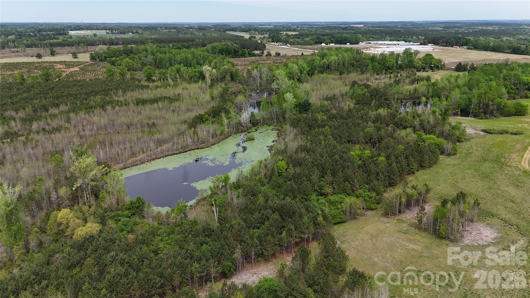 Acreage at 000 US Highway 52 Highway, Cheraw, photo 15 of 43