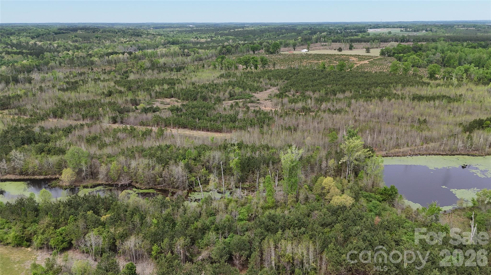 Acreage at 000 US Highway 52 Highway, Cheraw, photo 16 of 43