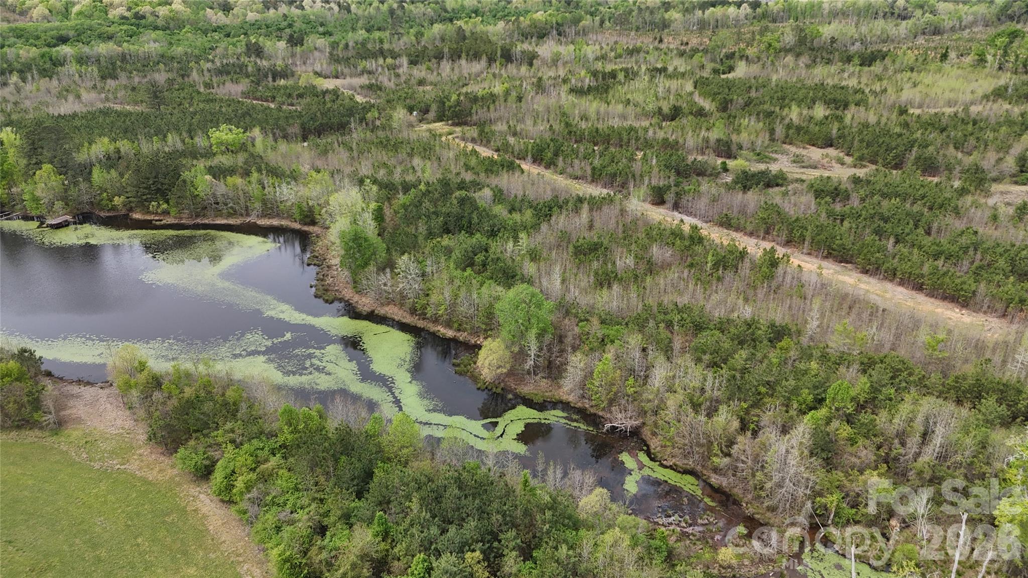 Acreage at 000 US Highway 52 Highway, Cheraw, photo 17 of 43