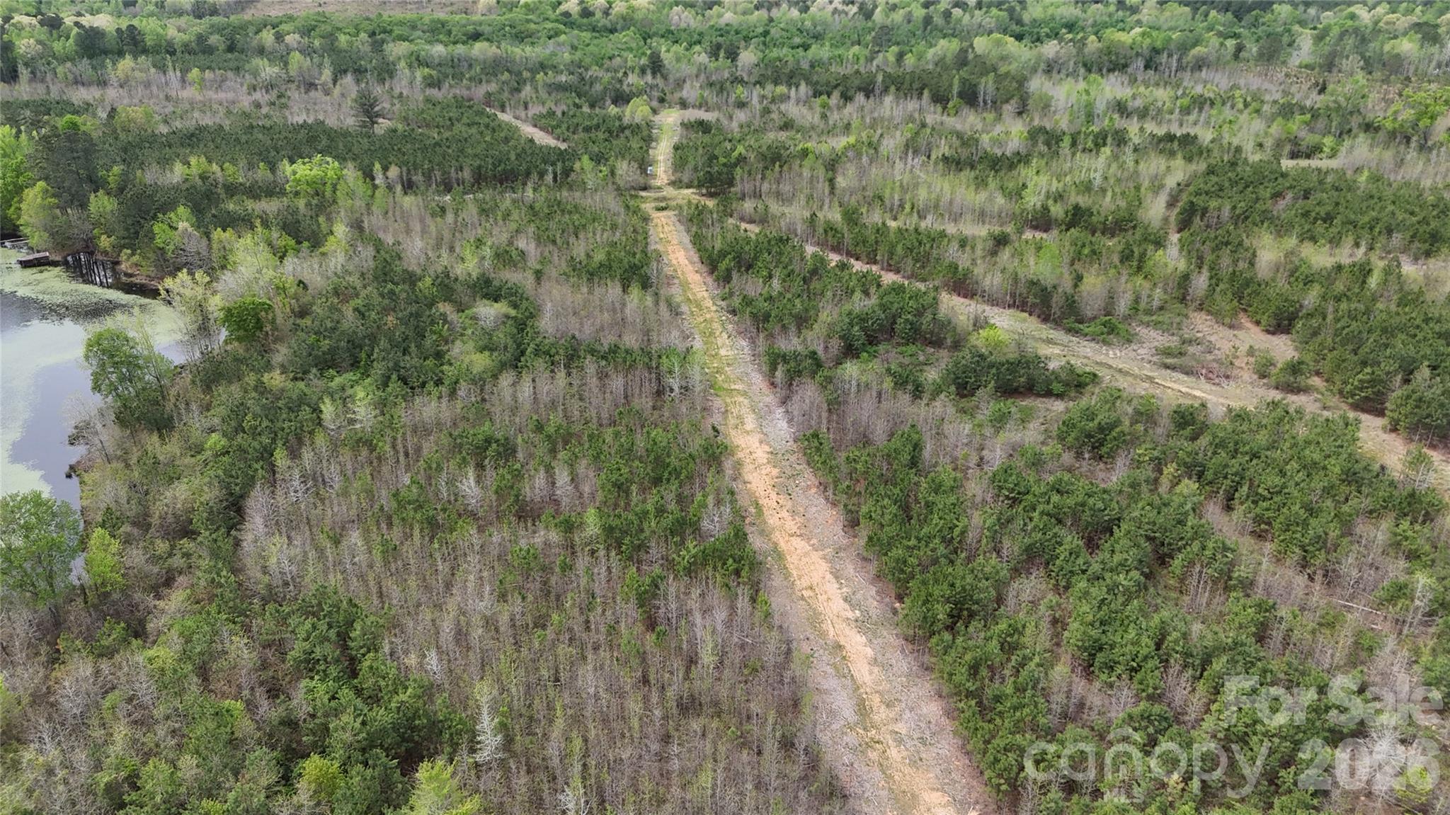 Acreage at 000 US Highway 52 Highway, Cheraw, photo 18 of 43