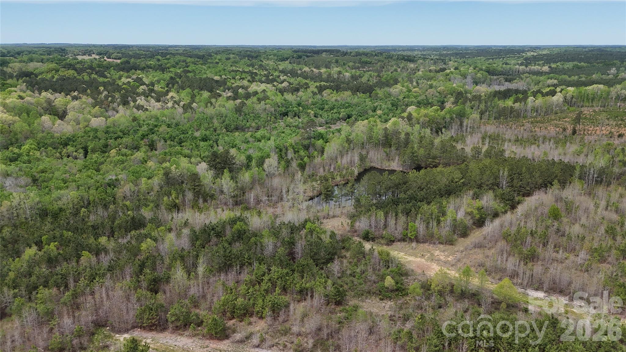 Acreage at 000 US Highway 52 Highway, Cheraw, photo 29 of 43
