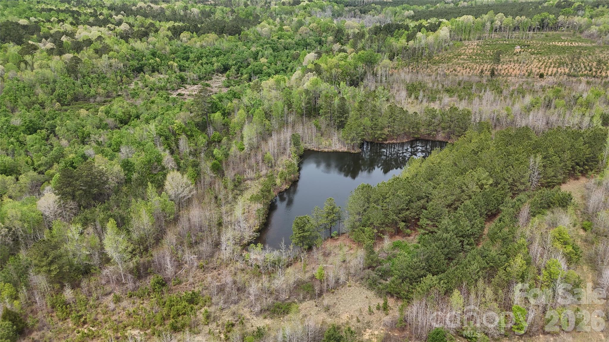 Acreage at 000 US Highway 52 Highway, Cheraw, photo 30 of 43