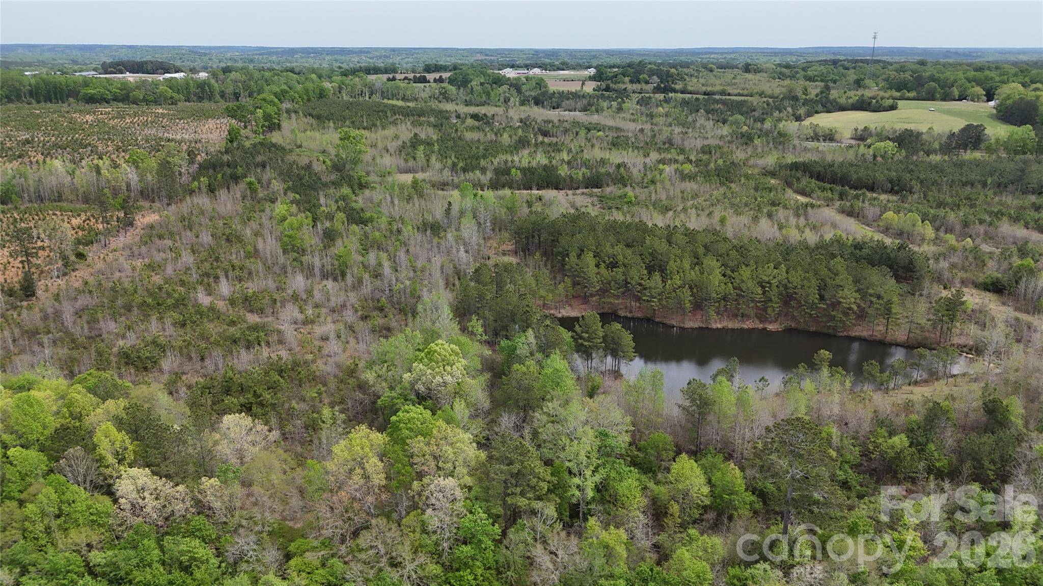 Acreage at 000 US Highway 52 Highway, Cheraw, photo 33 of 43