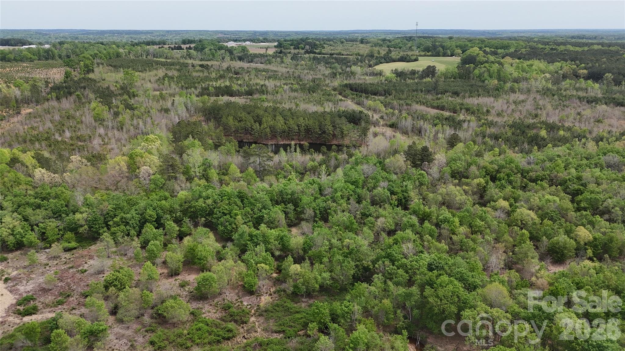 Acreage at 000 US Highway 52 Highway, Cheraw, photo 34 of 43