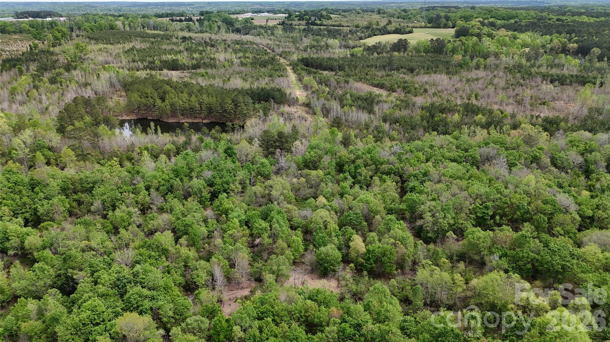Acreage at 000 US Highway 52 Highway, Cheraw, photo 35 of 43