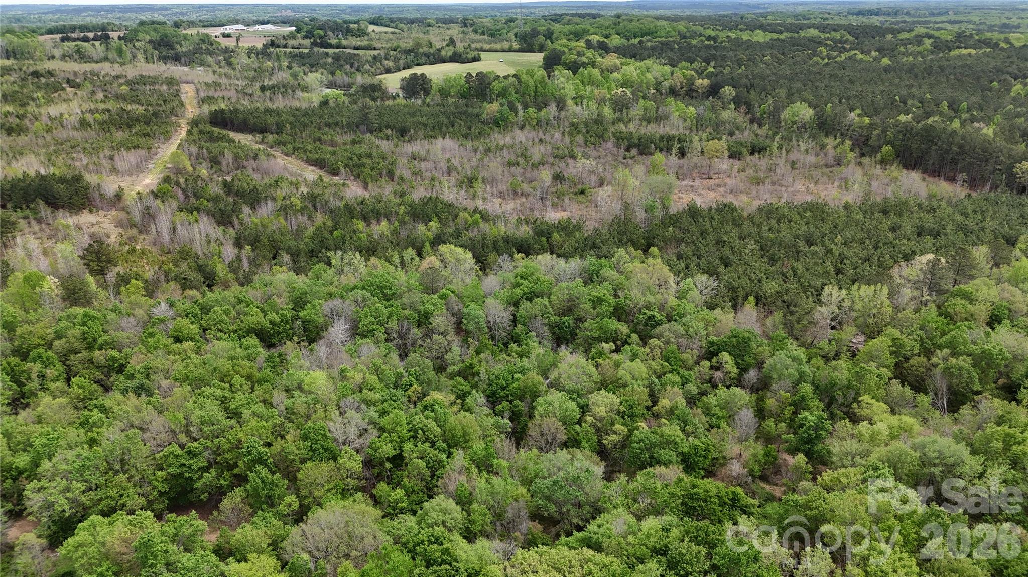 Acreage at 000 US Highway 52 Highway, Cheraw, photo 36 of 43