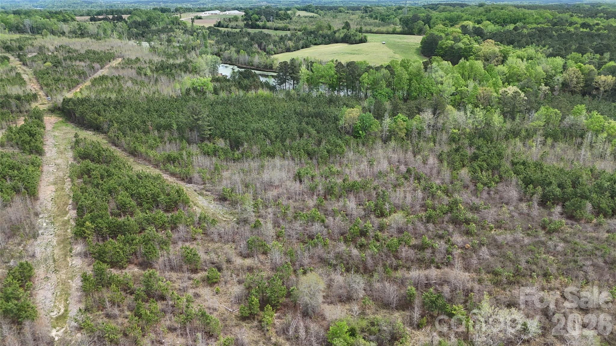 Acreage at 000 US Highway 52 Highway, Cheraw, photo 37 of 43