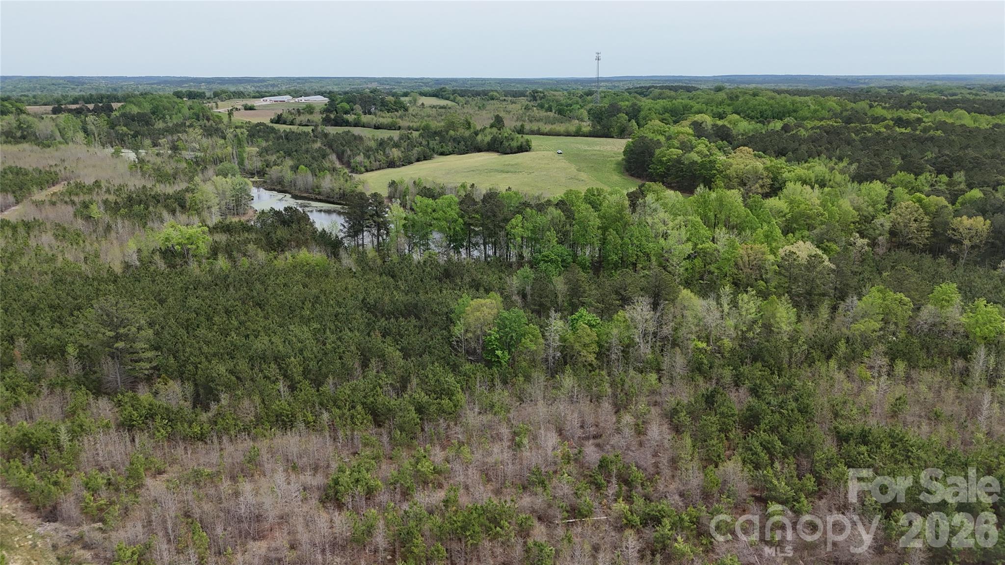 Acreage at 000 US Highway 52 Highway, Cheraw, photo 38 of 43