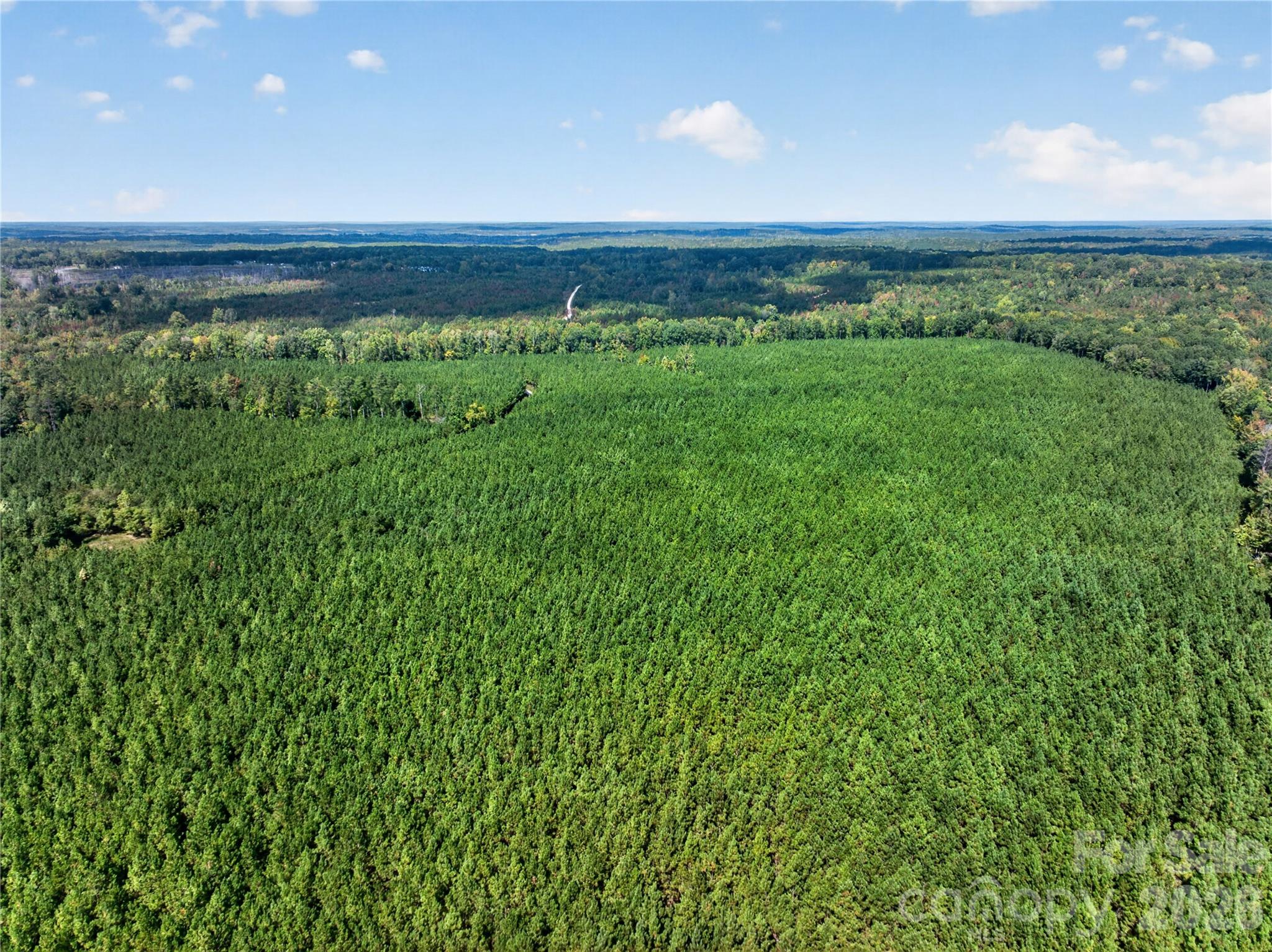 Acreage at 0000 Narrow Bridge Road, Chester, photo 2 of 37