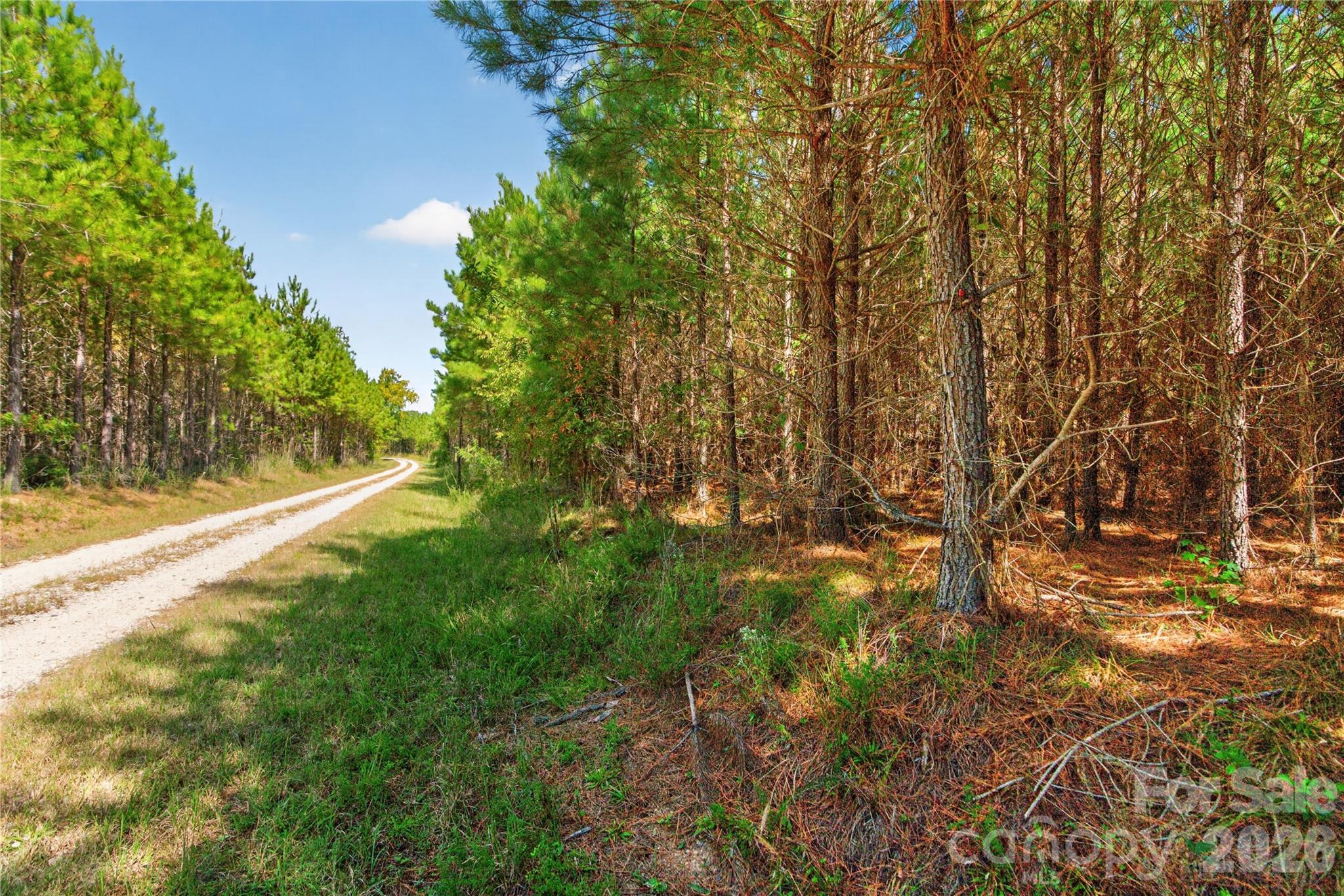 Acreage at 0000 Narrow Bridge Road, Chester, photo 4 of 37