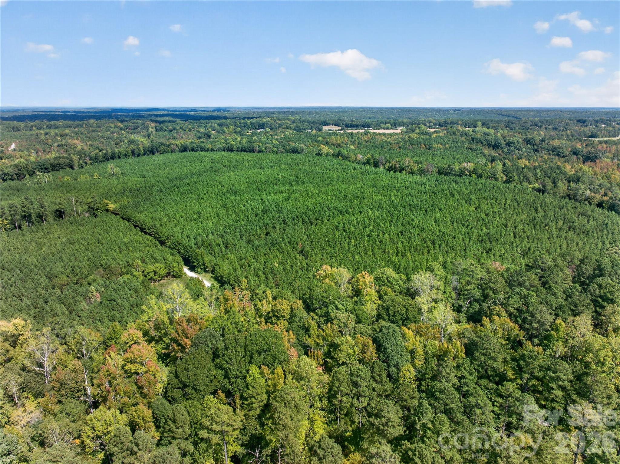 Acreage at 0000 Narrow Bridge Road, Chester, photo 5 of 37