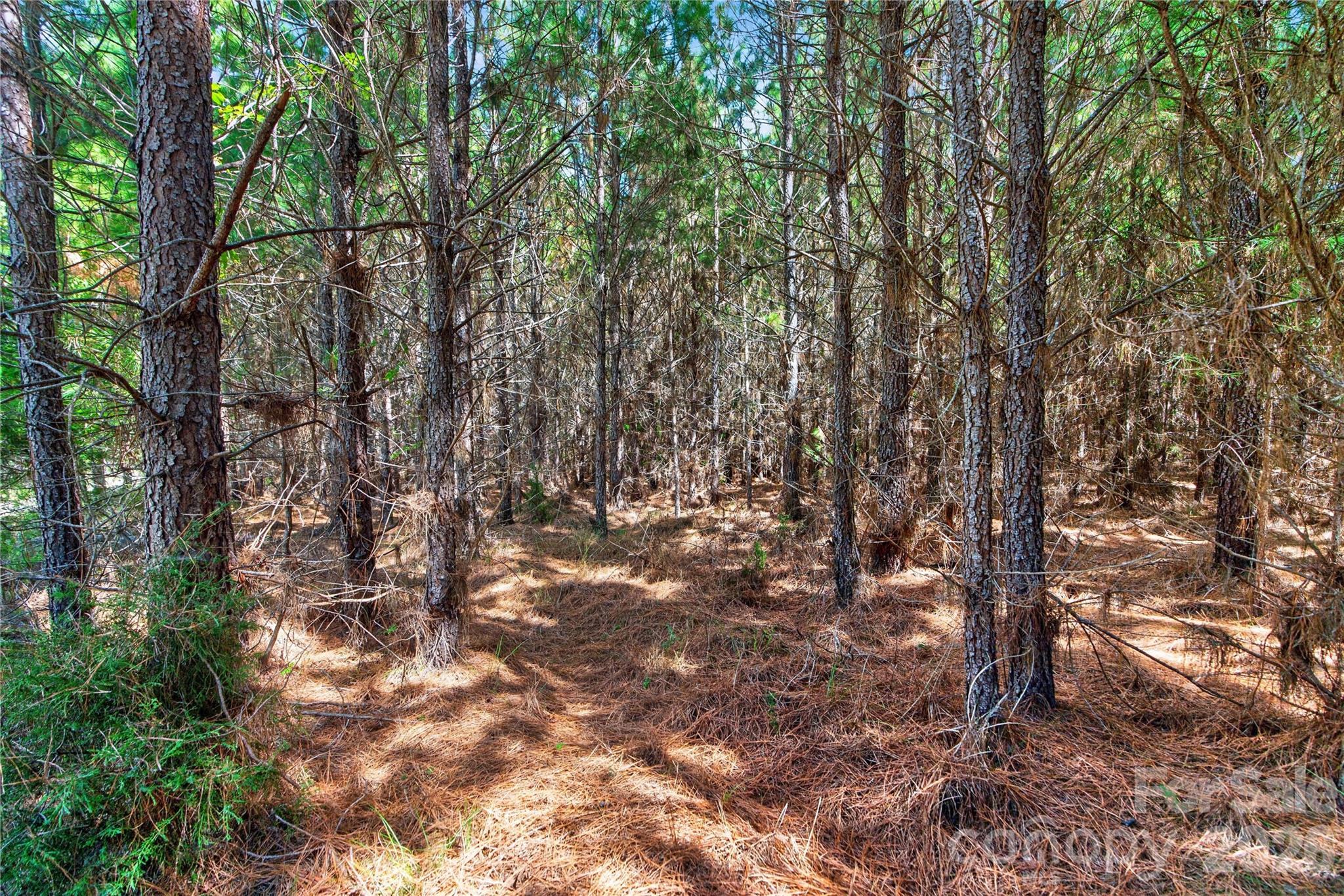 Acreage at 0000 Narrow Bridge Road, Chester, photo 14 of 37
