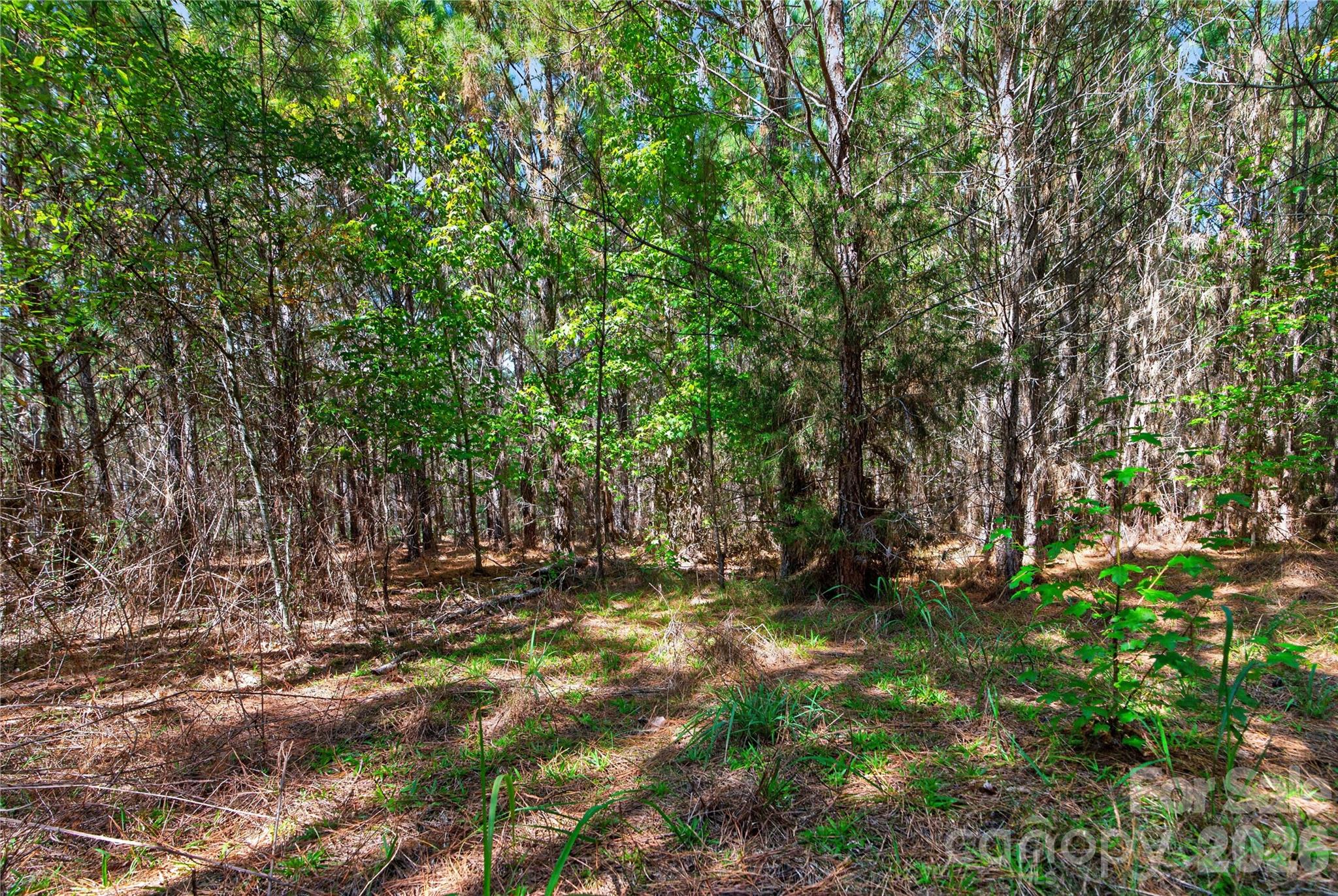 Acreage at 0000 Narrow Bridge Road, Chester, photo 15 of 37