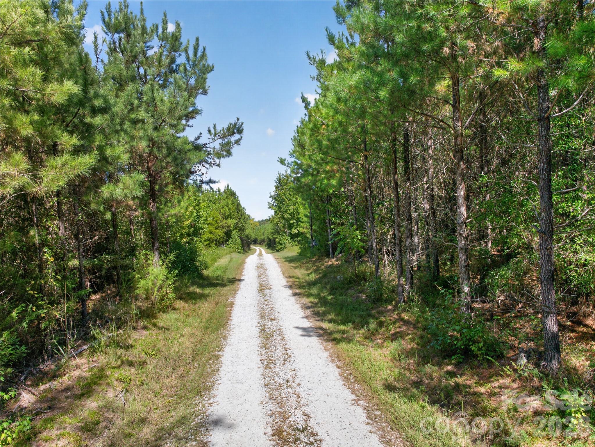 Acreage at 0000 Narrow Bridge Road, Chester, photo 22 of 37