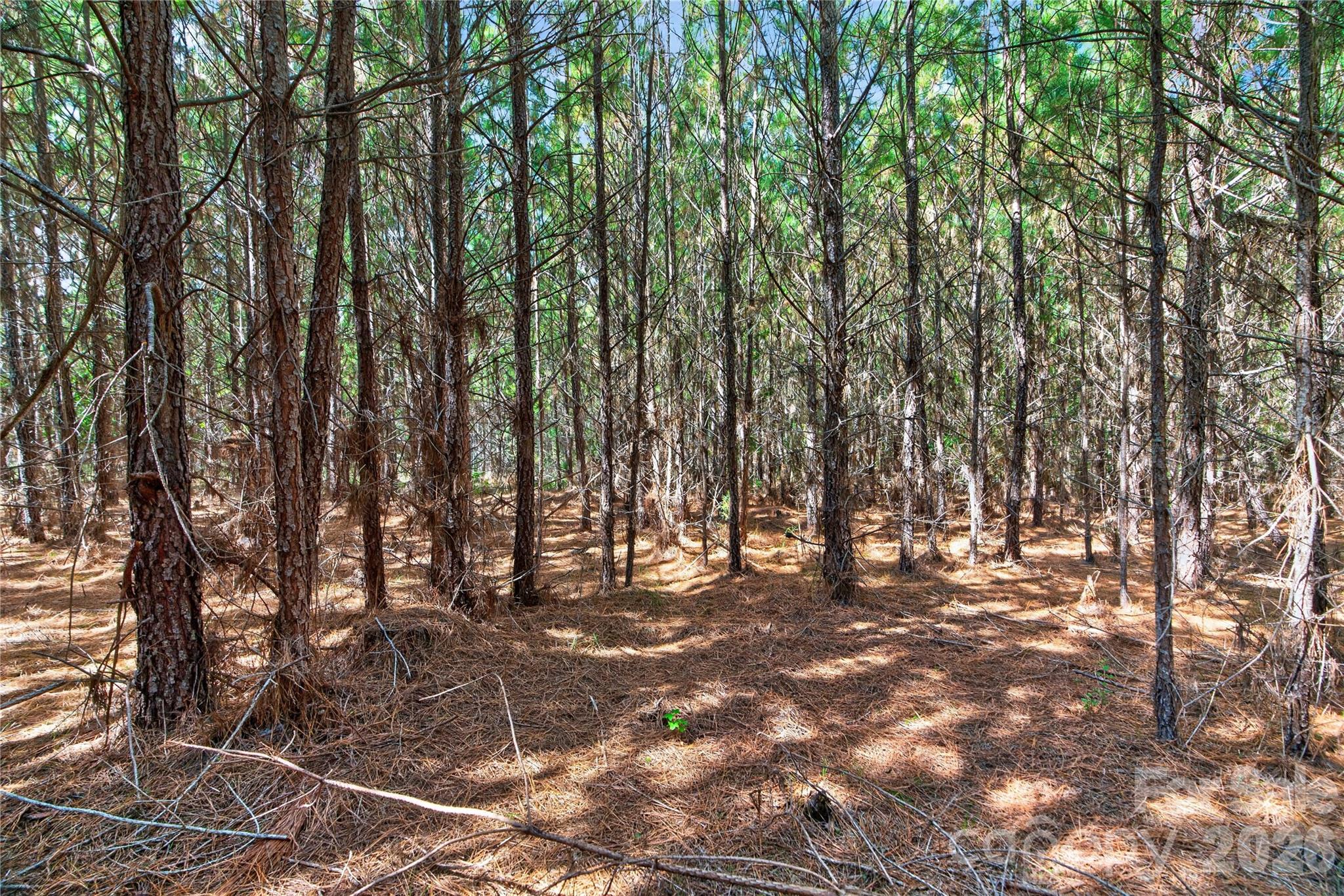 Acreage at 0000 Narrow Bridge Road, Chester, photo 23 of 37