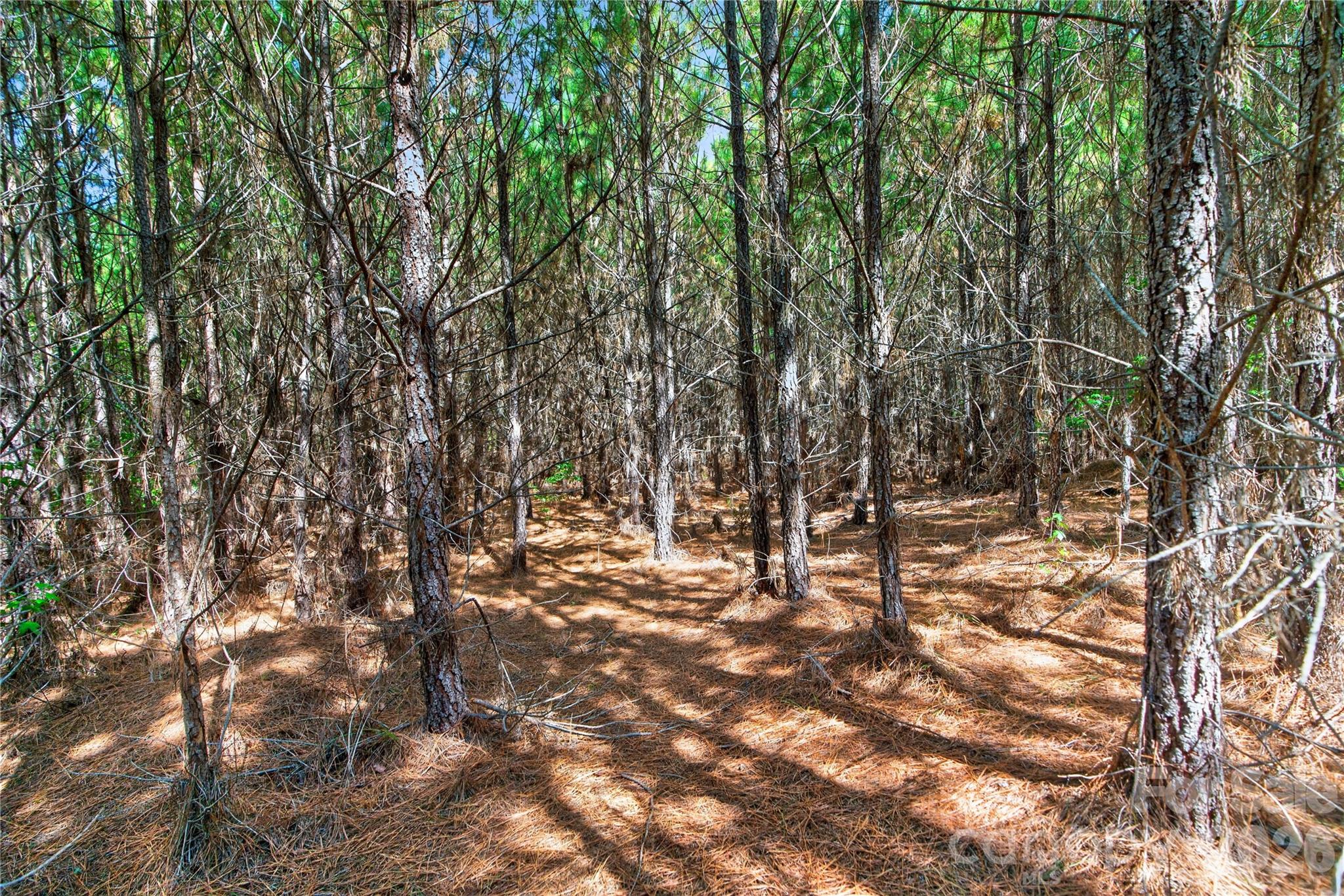Acreage at 0000 Narrow Bridge Road, Chester, photo 25 of 37