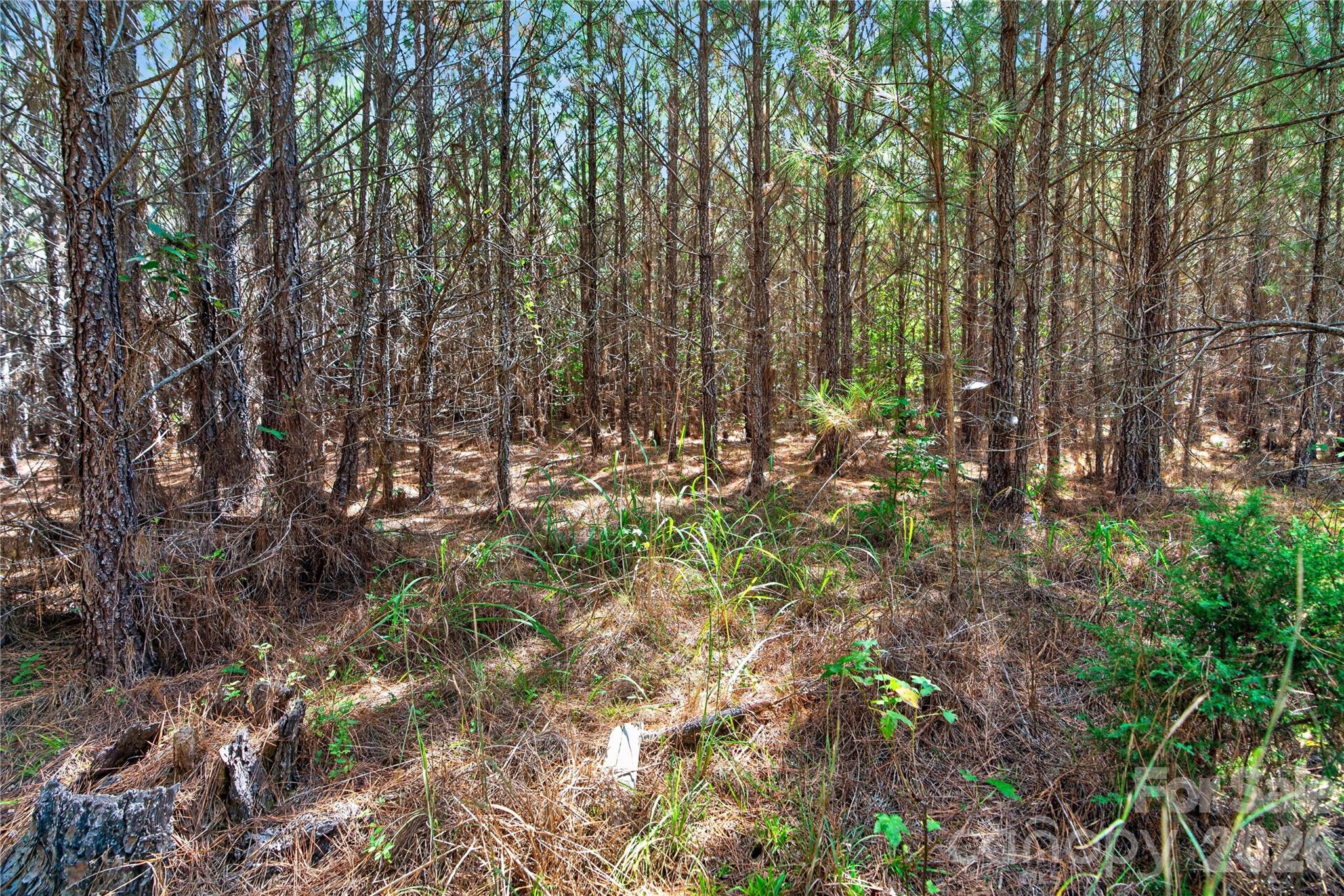 Acreage at 0000 Narrow Bridge Road, Chester, photo 26 of 37