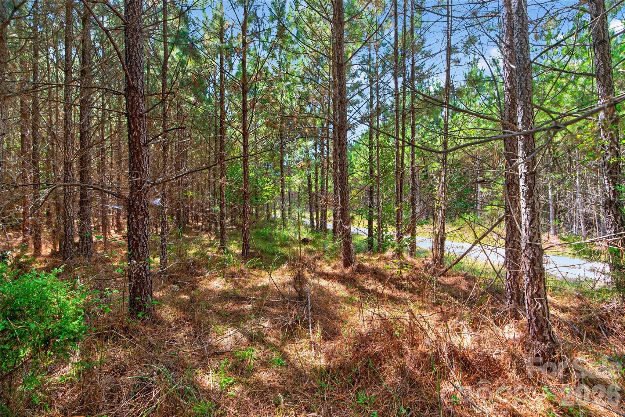 Acreage at 0000 Narrow Bridge Road, Chester, photo 27 of 37