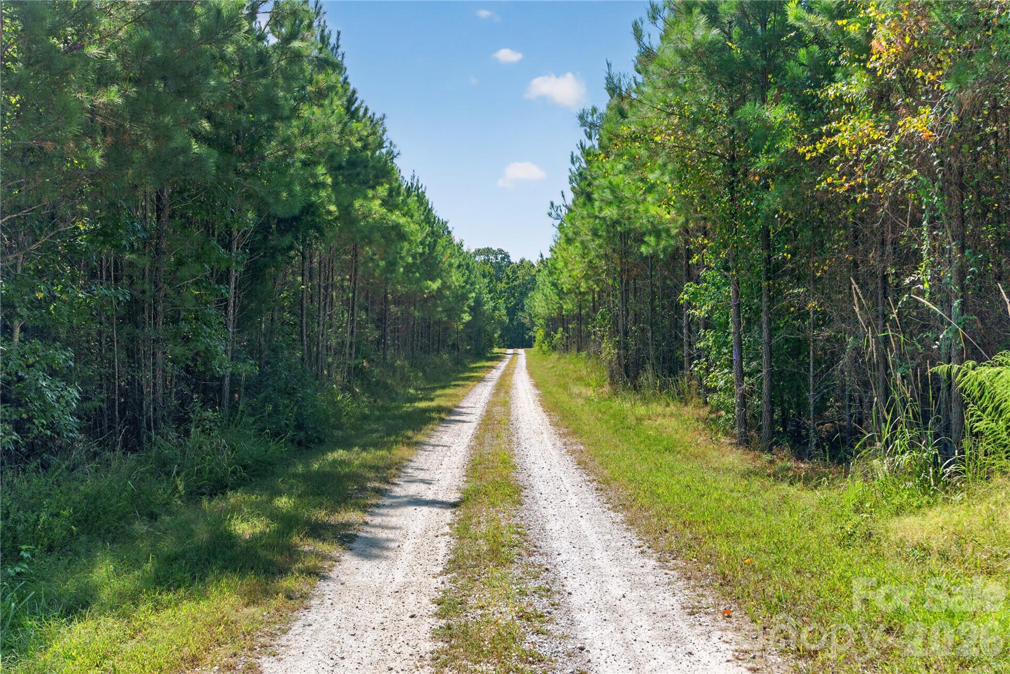 Acreage at 0000 Narrow Bridge Road, Chester, photo 28 of 37