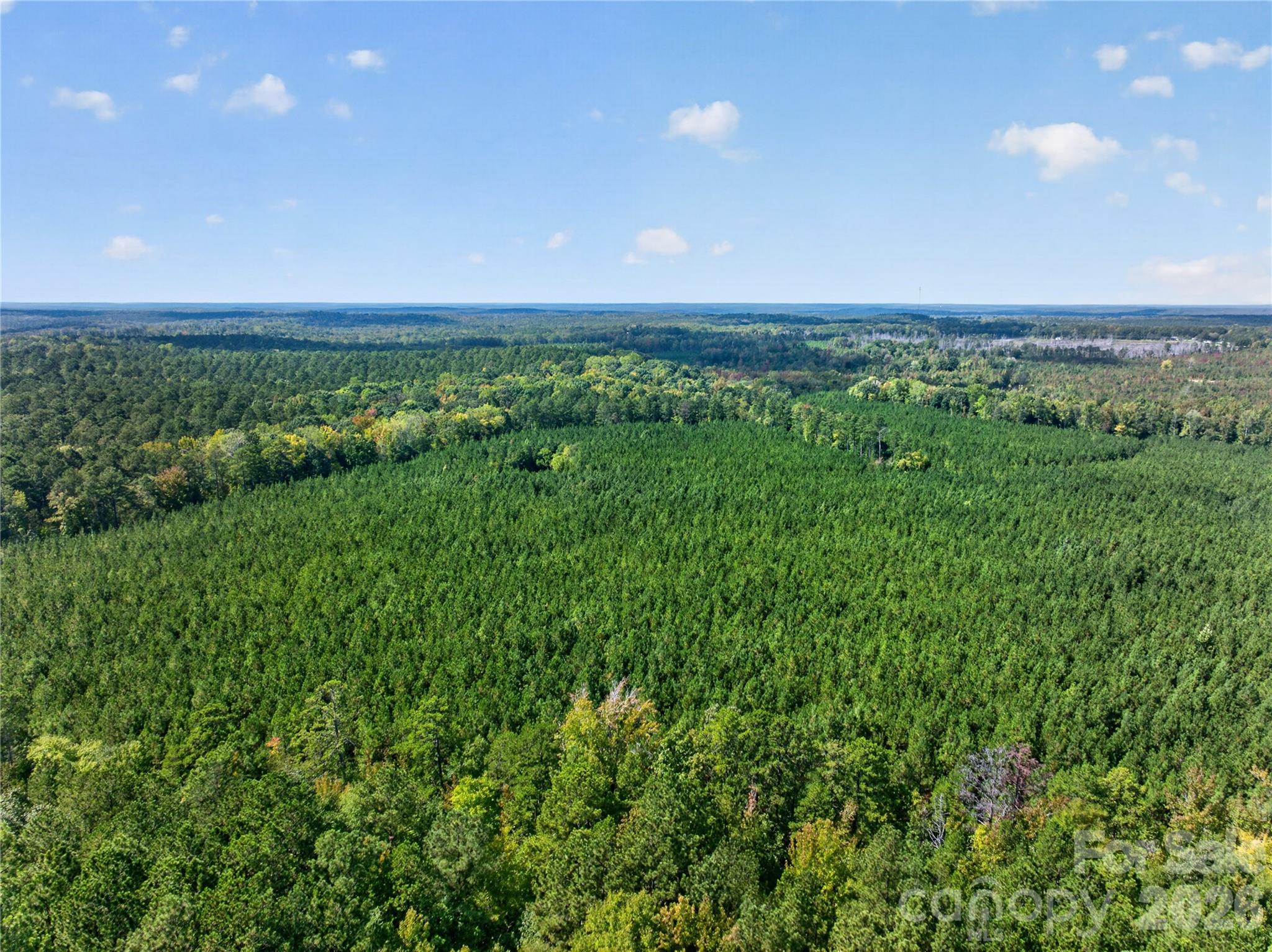 Acreage at 0000 Narrow Bridge Road, Chester, photo 31 of 37