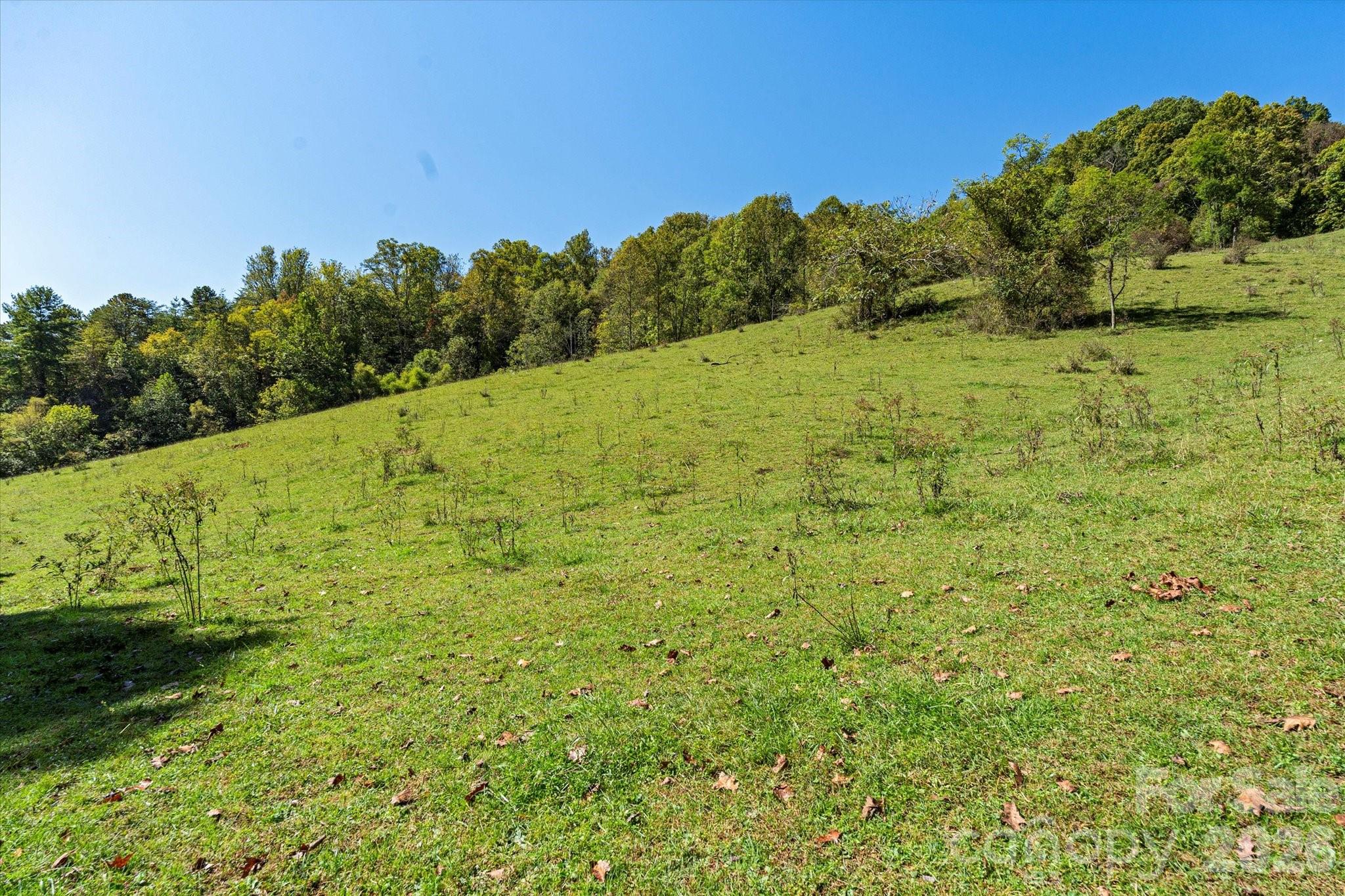 or another build site? - 1623 Ammons Branch Road, Marshall