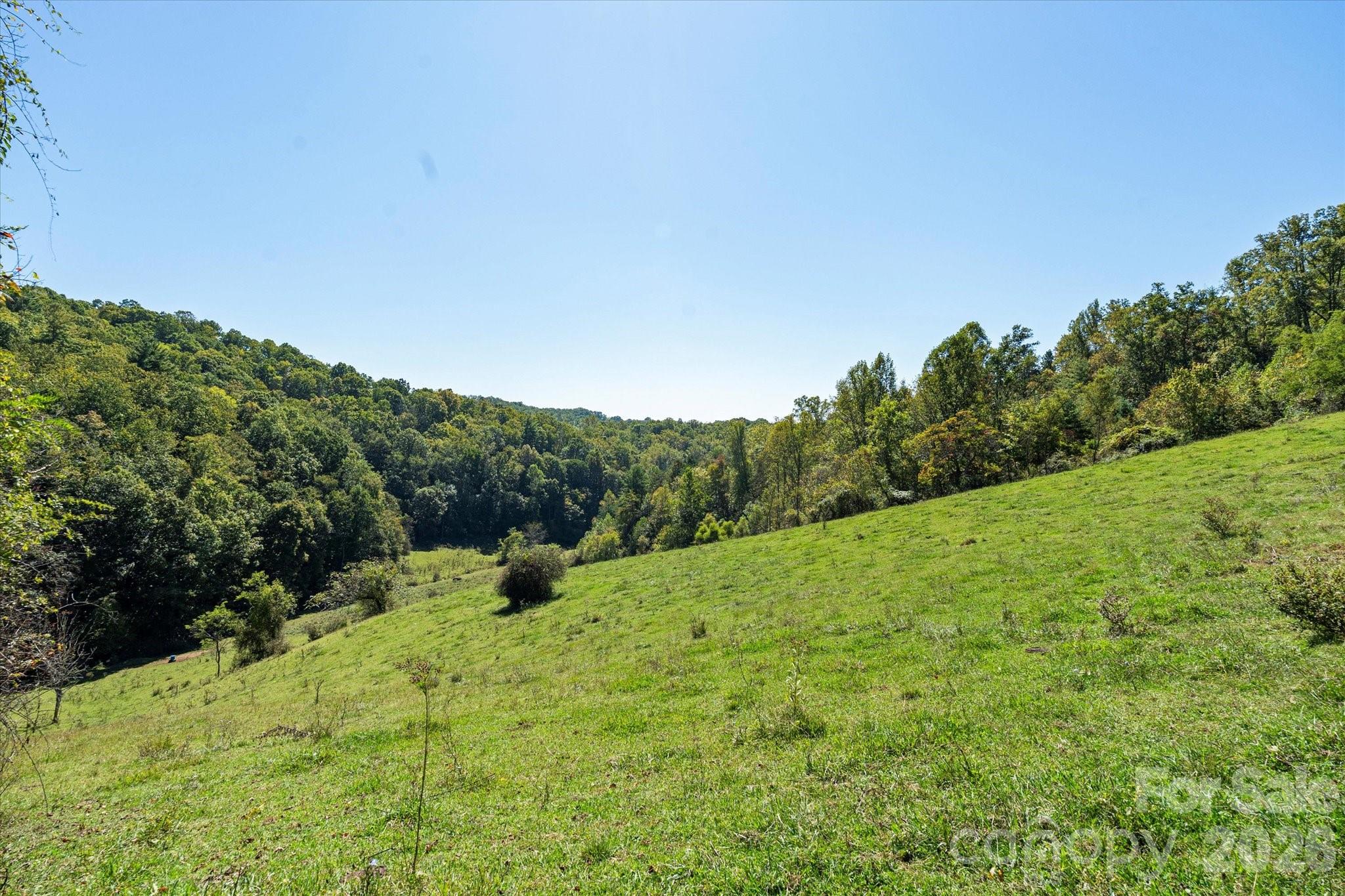 Acreage at 1623 Ammons Branch Road, Marshall, photo 10 of 47