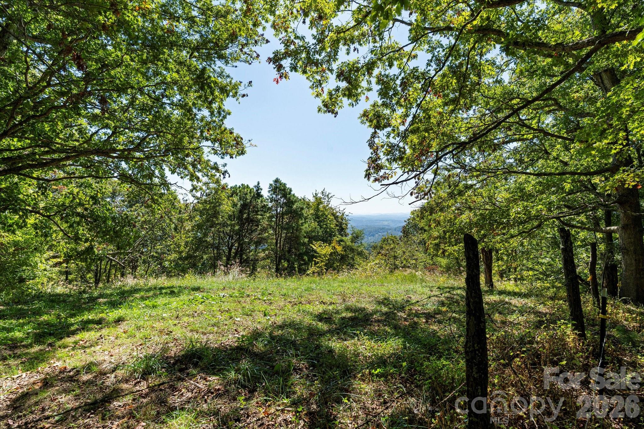 Acreage at 1623 Ammons Branch Road, Marshall, photo 11 of 47