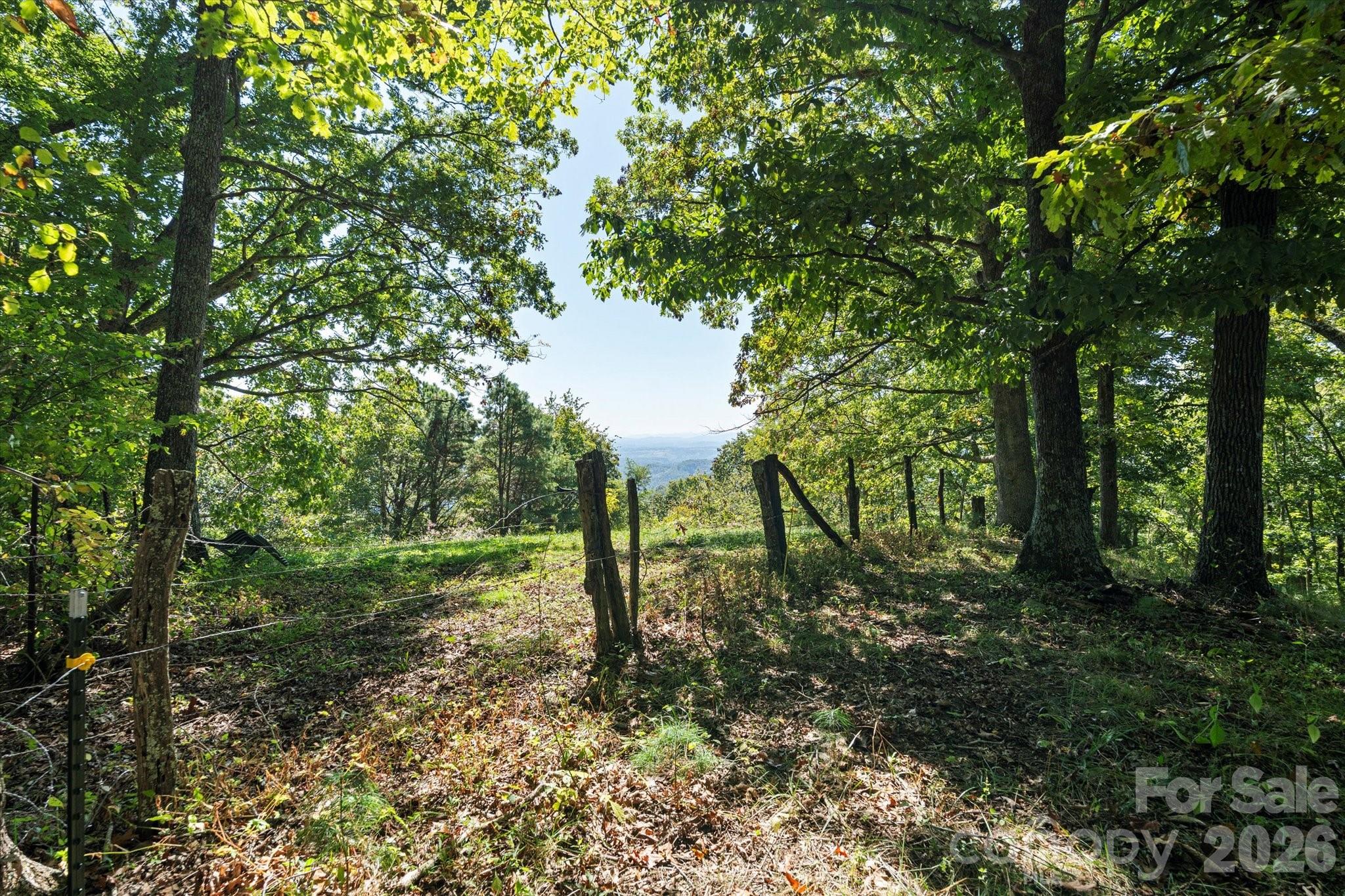 barbed-wire and hot wired - 1623 Ammons Branch Road, Marshall