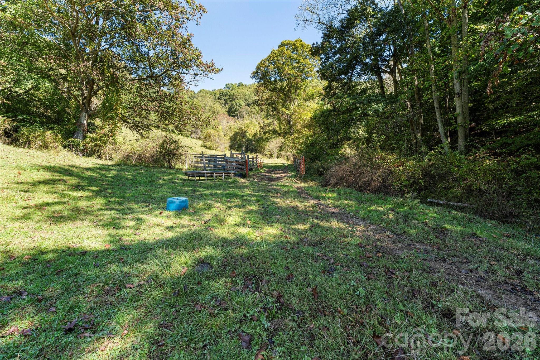 Acreage at 1623 Ammons Branch Road, Marshall, photo 16 of 47