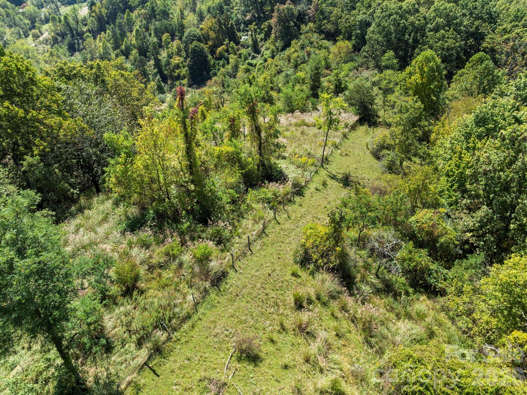 A rough road/trail follows the fence line - 1623 Ammons Branch Road, Marshall