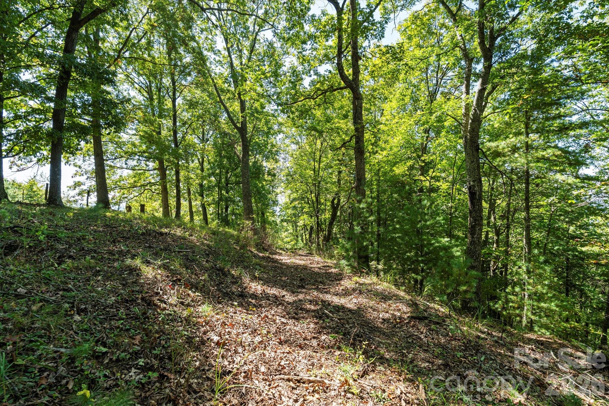 Roads through the property - 1623 Ammons Branch Road, Marshall