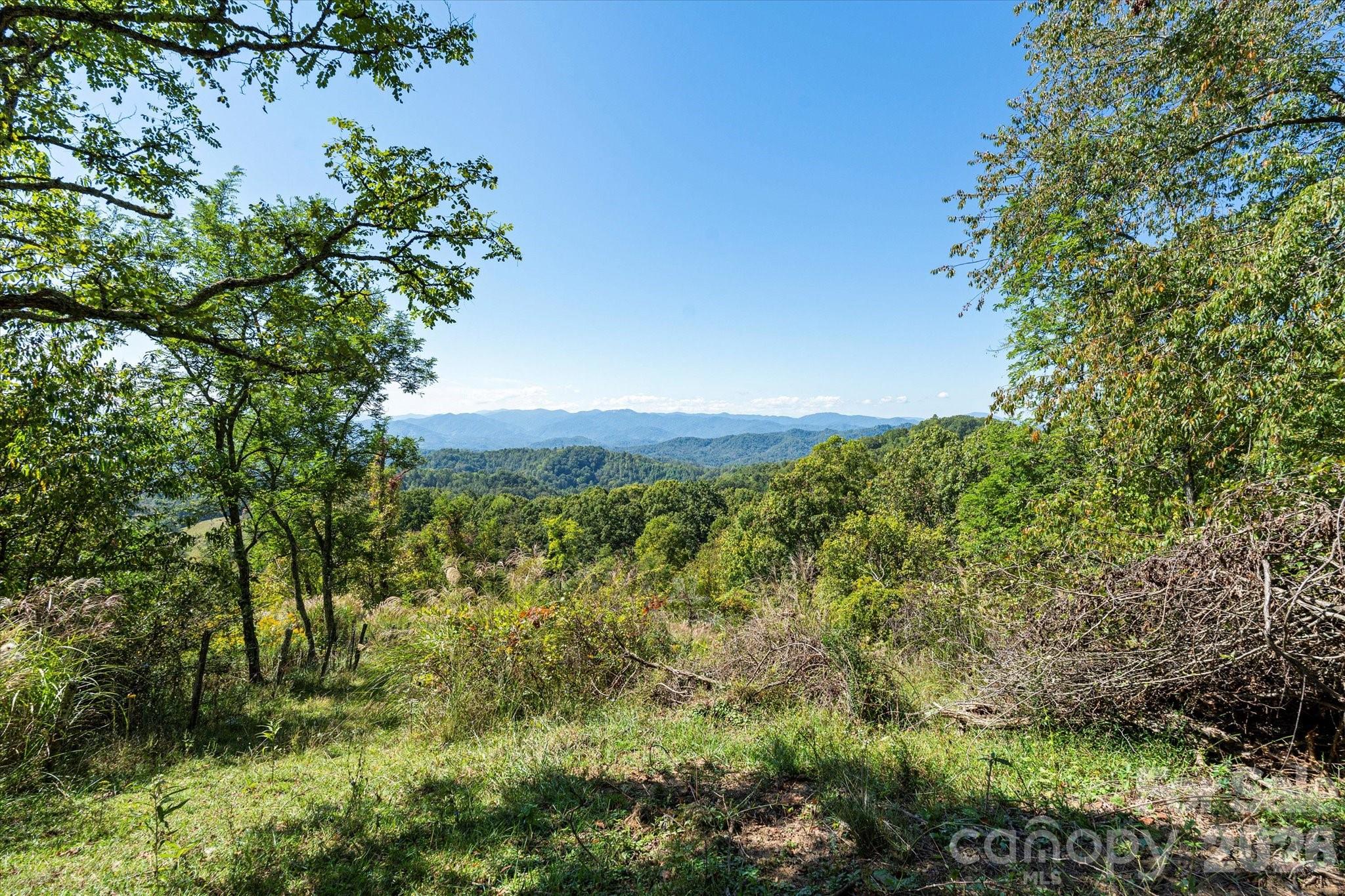 Another build site? - 1623 Ammons Branch Road, Marshall