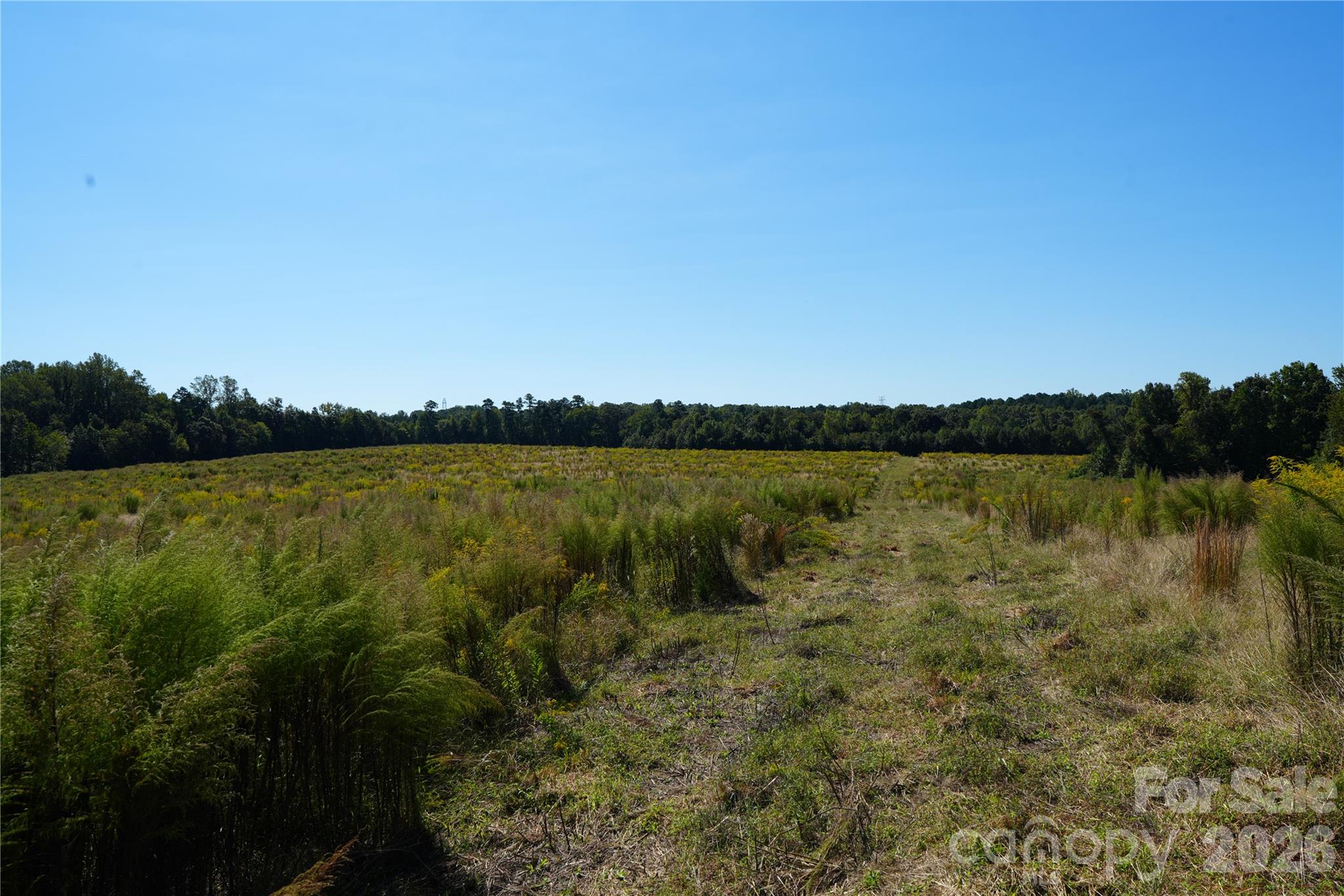Acreage at 10ac Log Drive, Statesville, photo 2 of 9